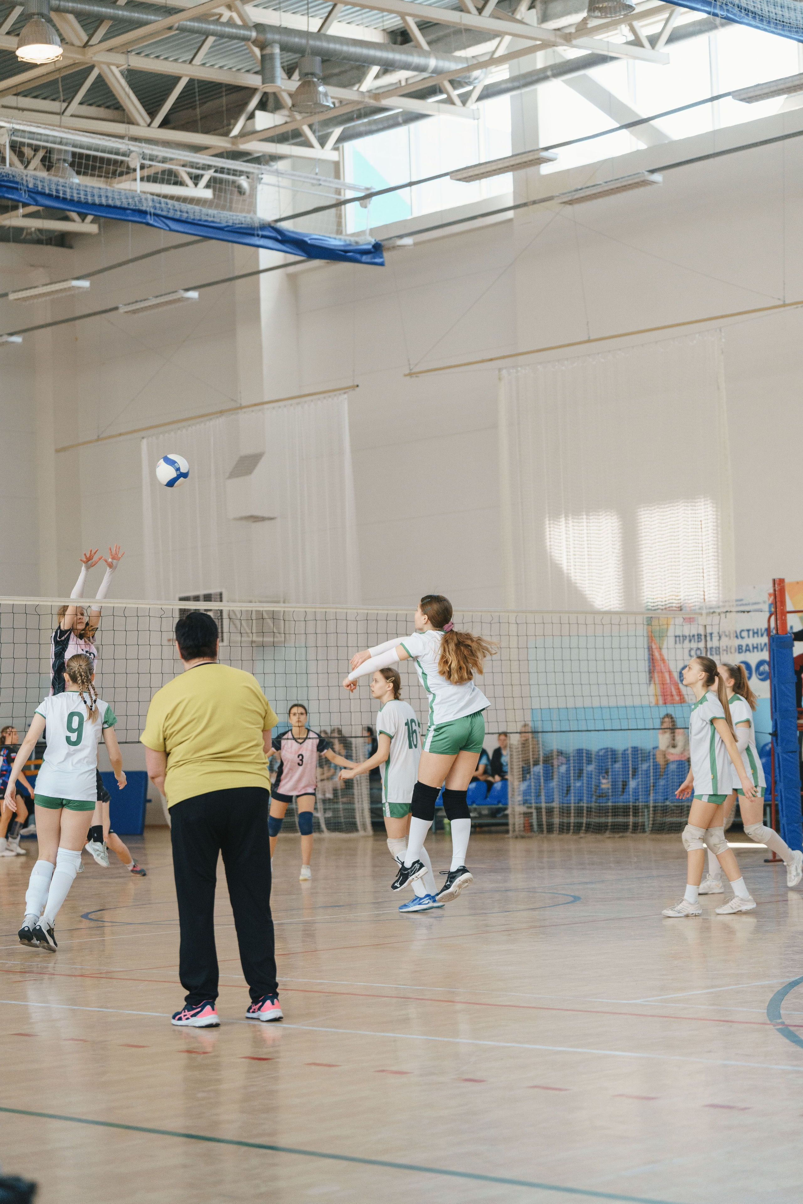 Волейбол торус. Фотограф-анималист в Санкт-Петербурге