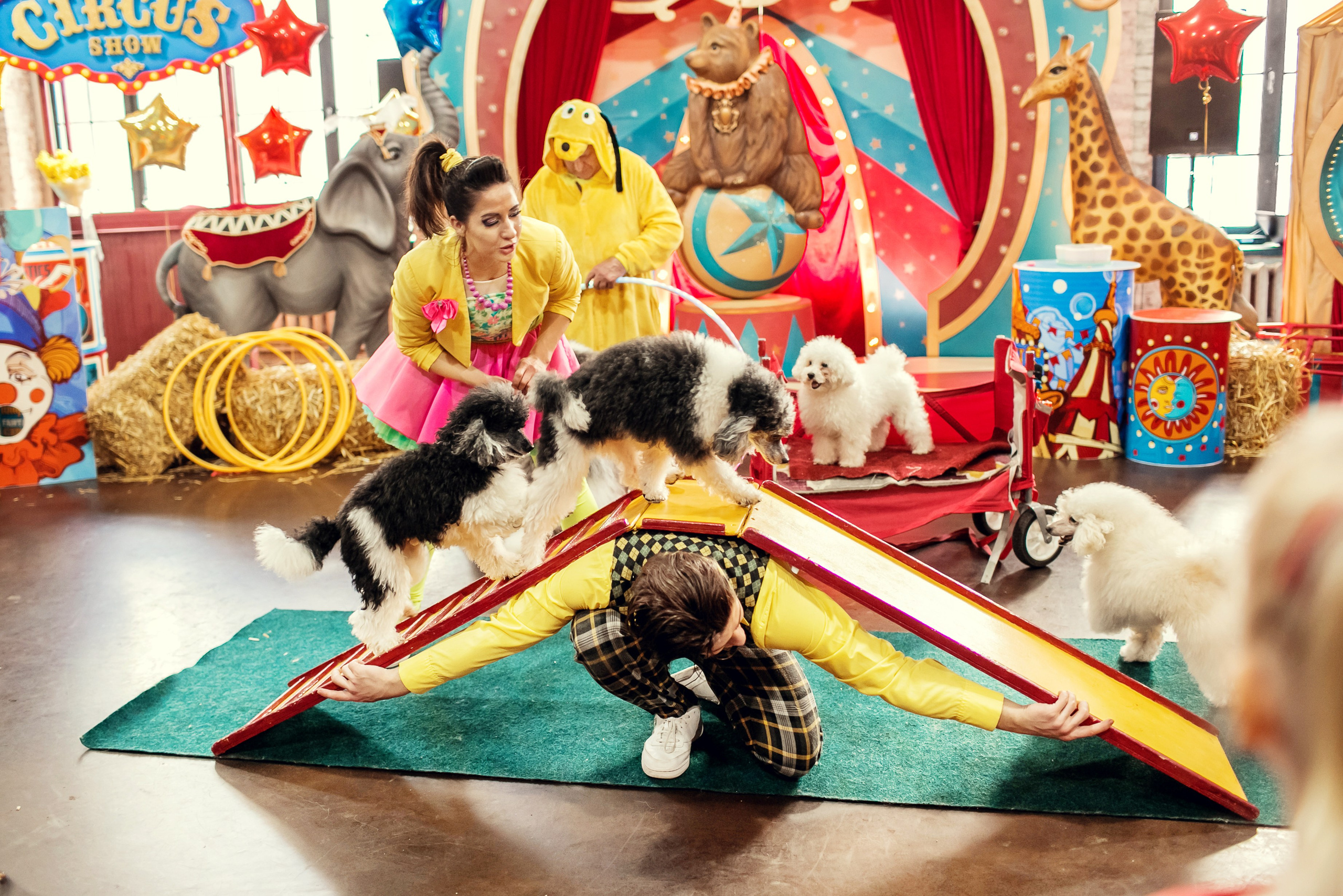 Насте 5 лет. Детский и семейный фотограф в Москве Анна Ипатьева