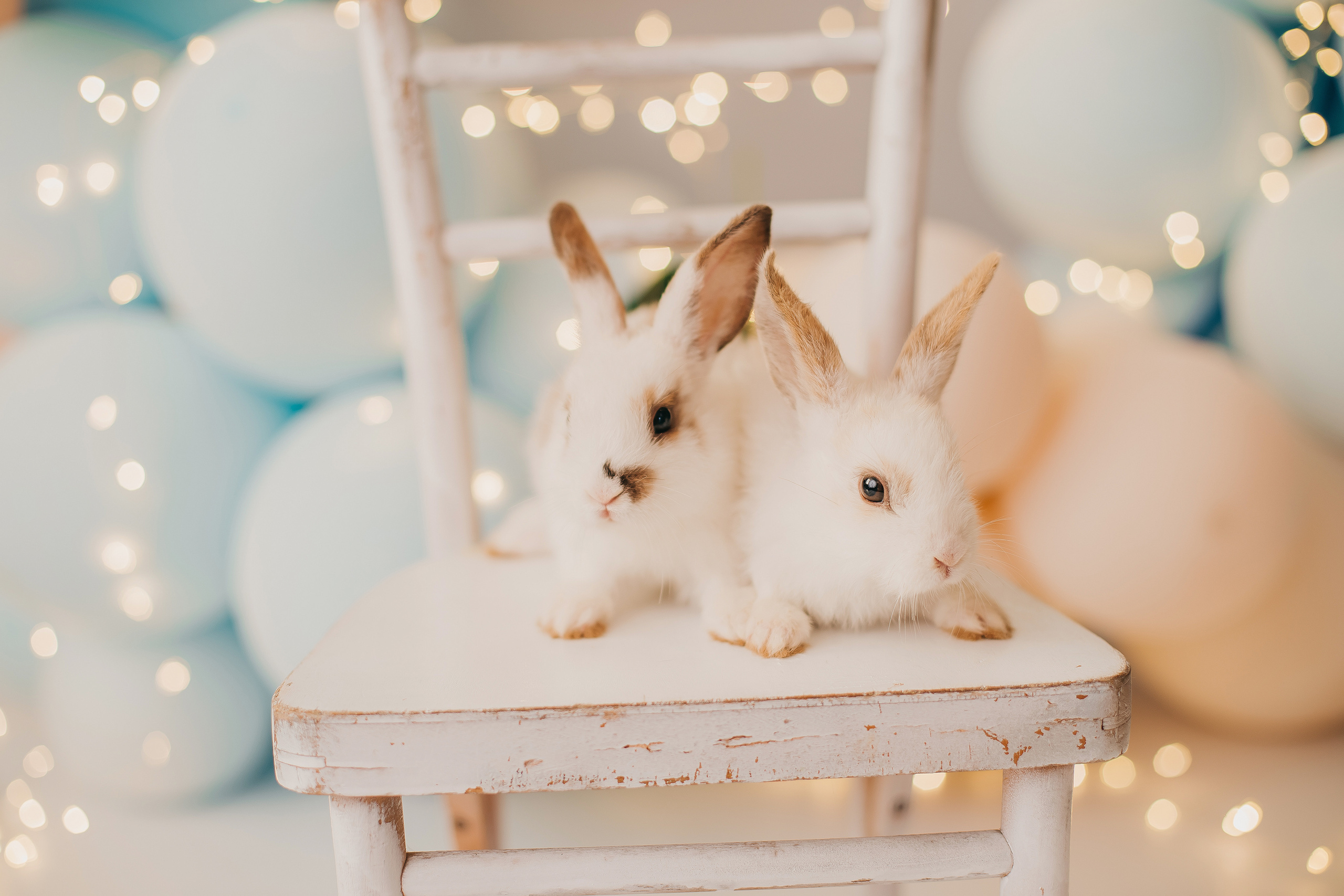 Первый годик. Фотограф новорожденных и семей Туапсе Краснодарский край Анна Альтман