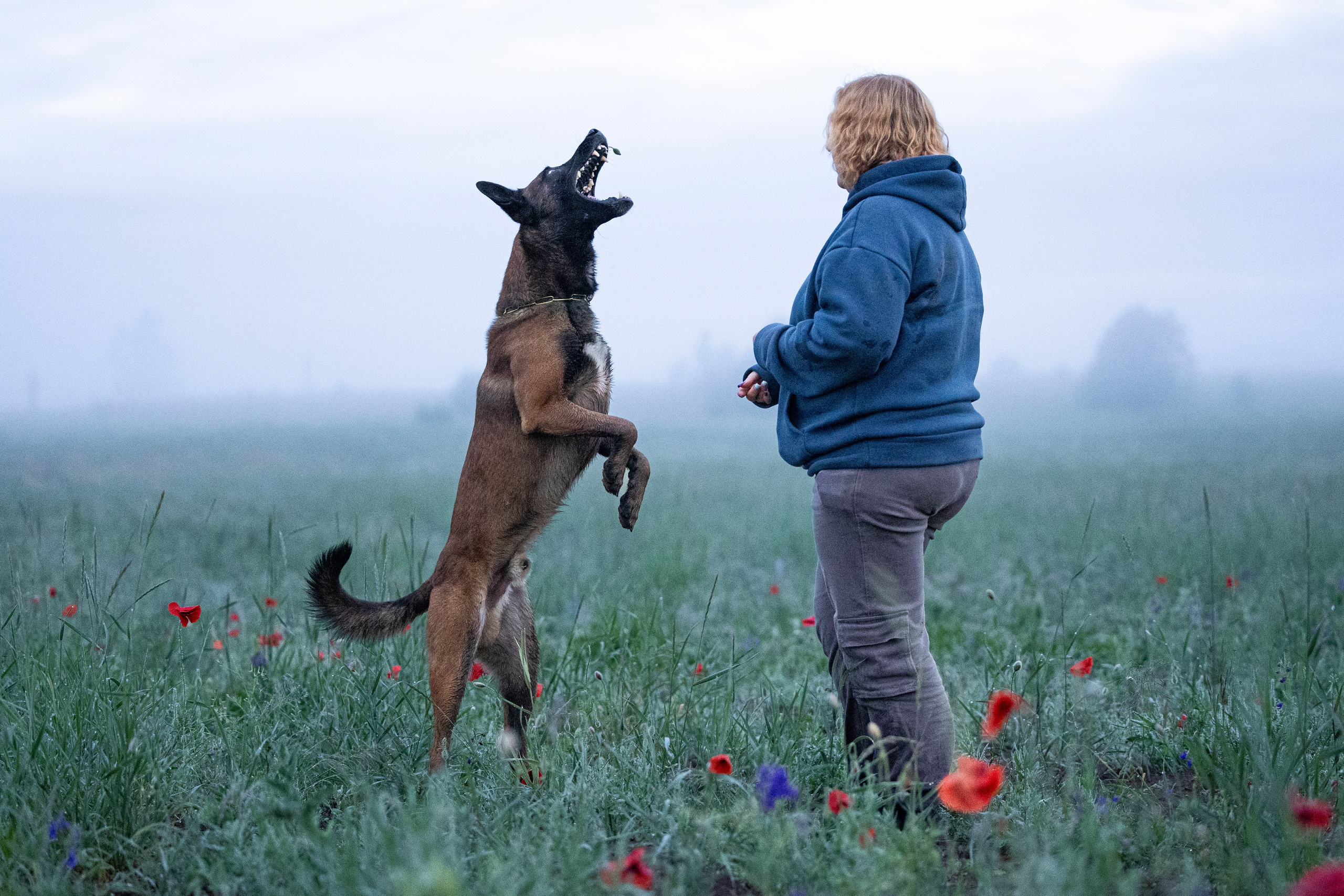 Маковое поле. Фотограф-анималист Анна Маринич
