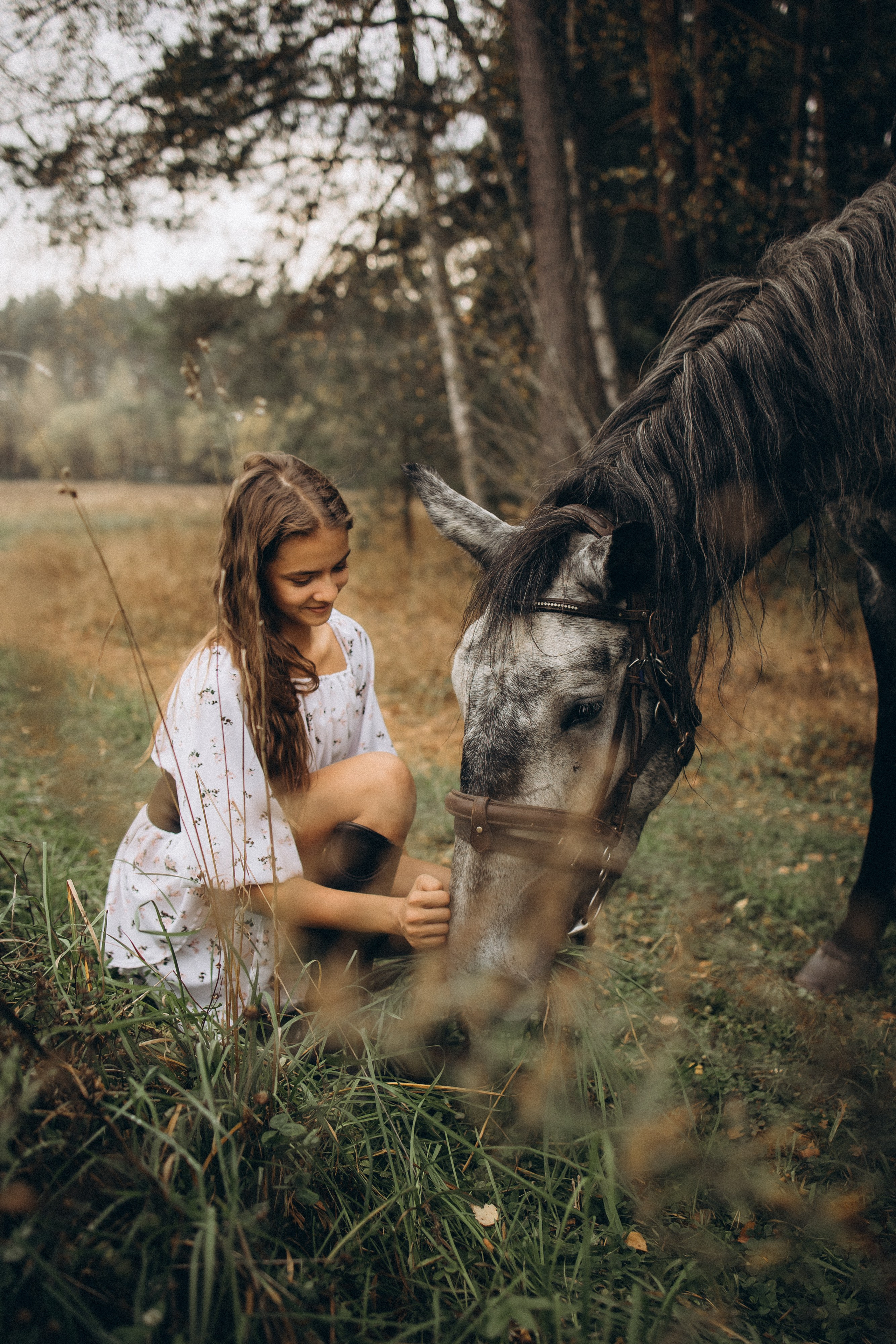 Лошади. Ваш фотограф в Москве и области Юлия