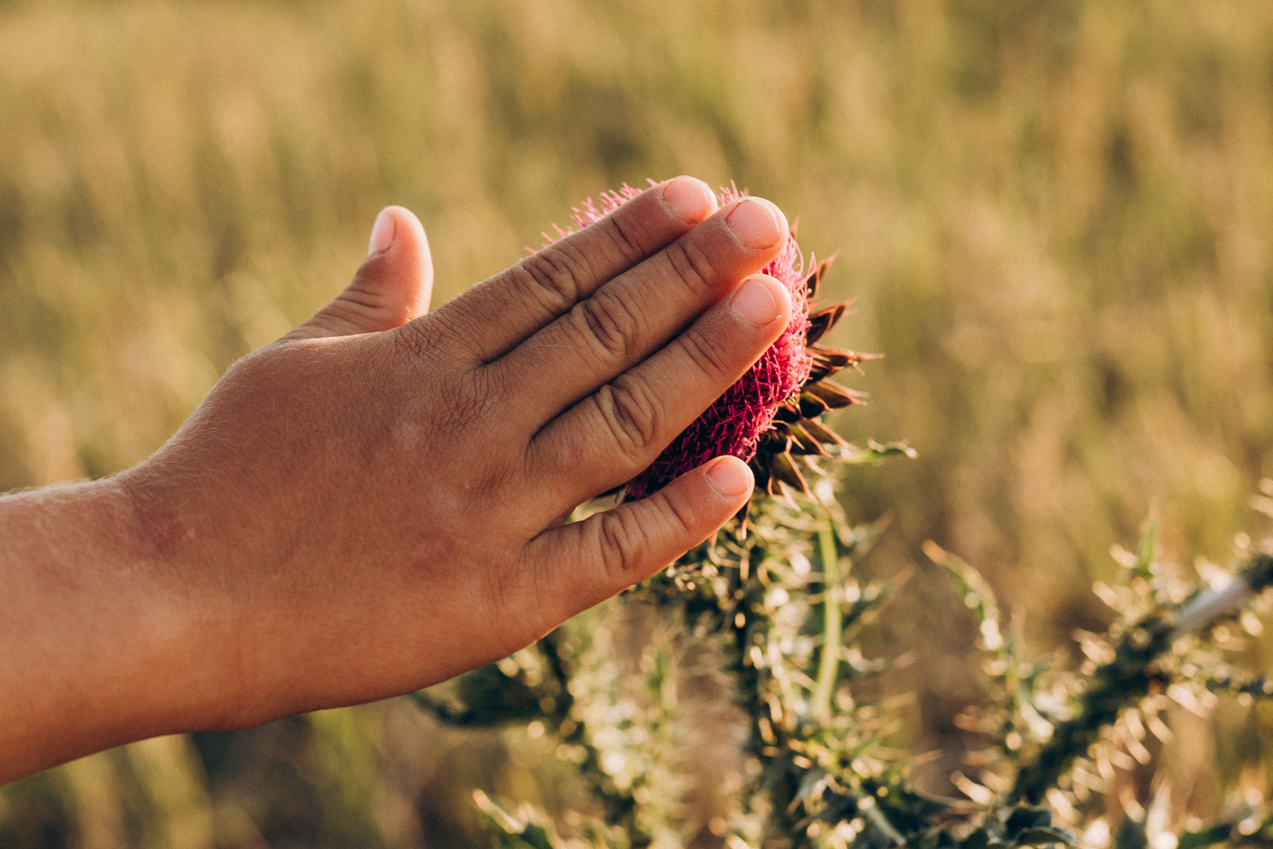 Иван, Вера, Вика, Саша и Миша. Семейный фотограф lifestyle в Новосибирске Елена Шпилевая