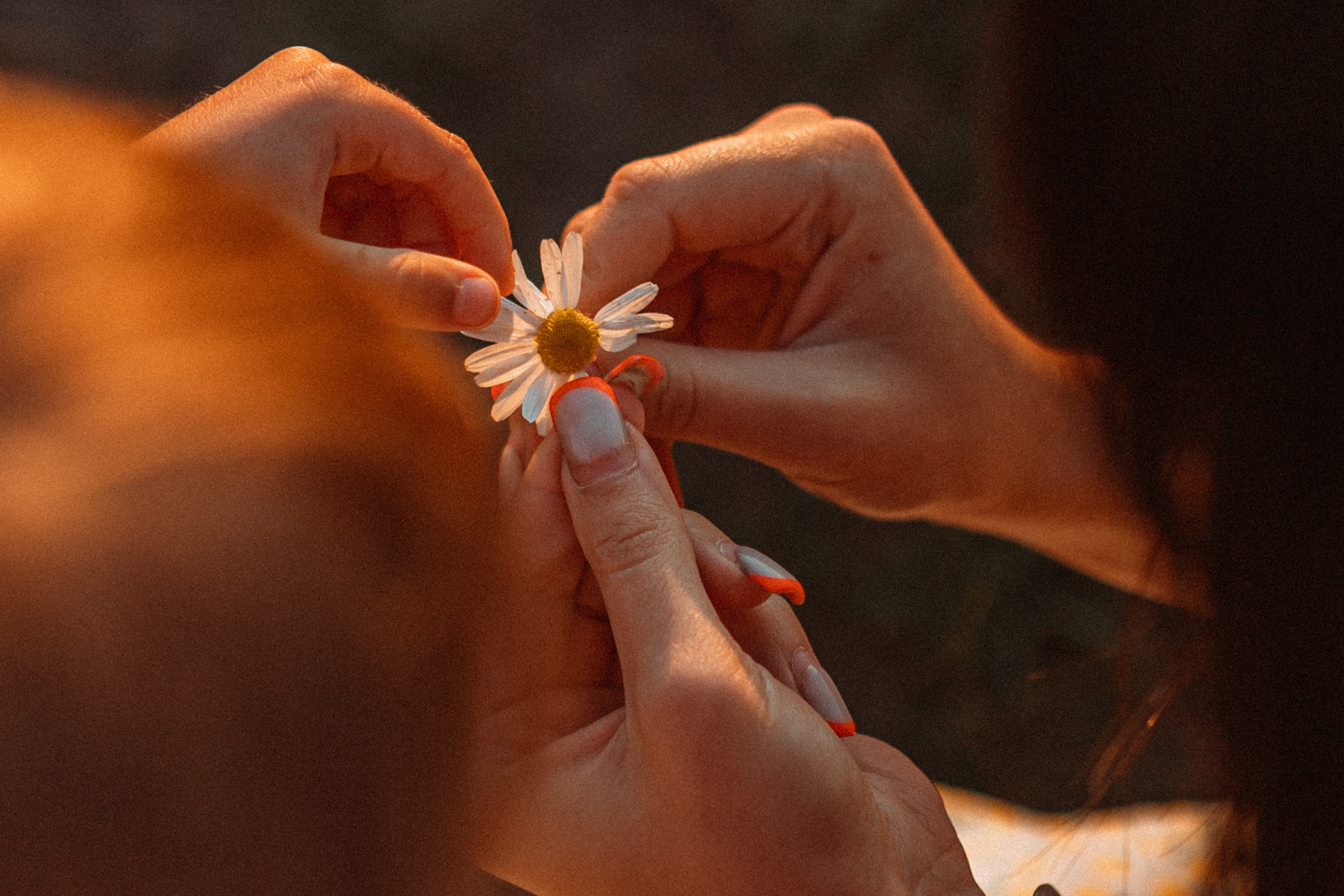 Ксения, Вячеслав и Кира. Семейный фотограф lifestyle в Новосибирске Елена Шпилевая