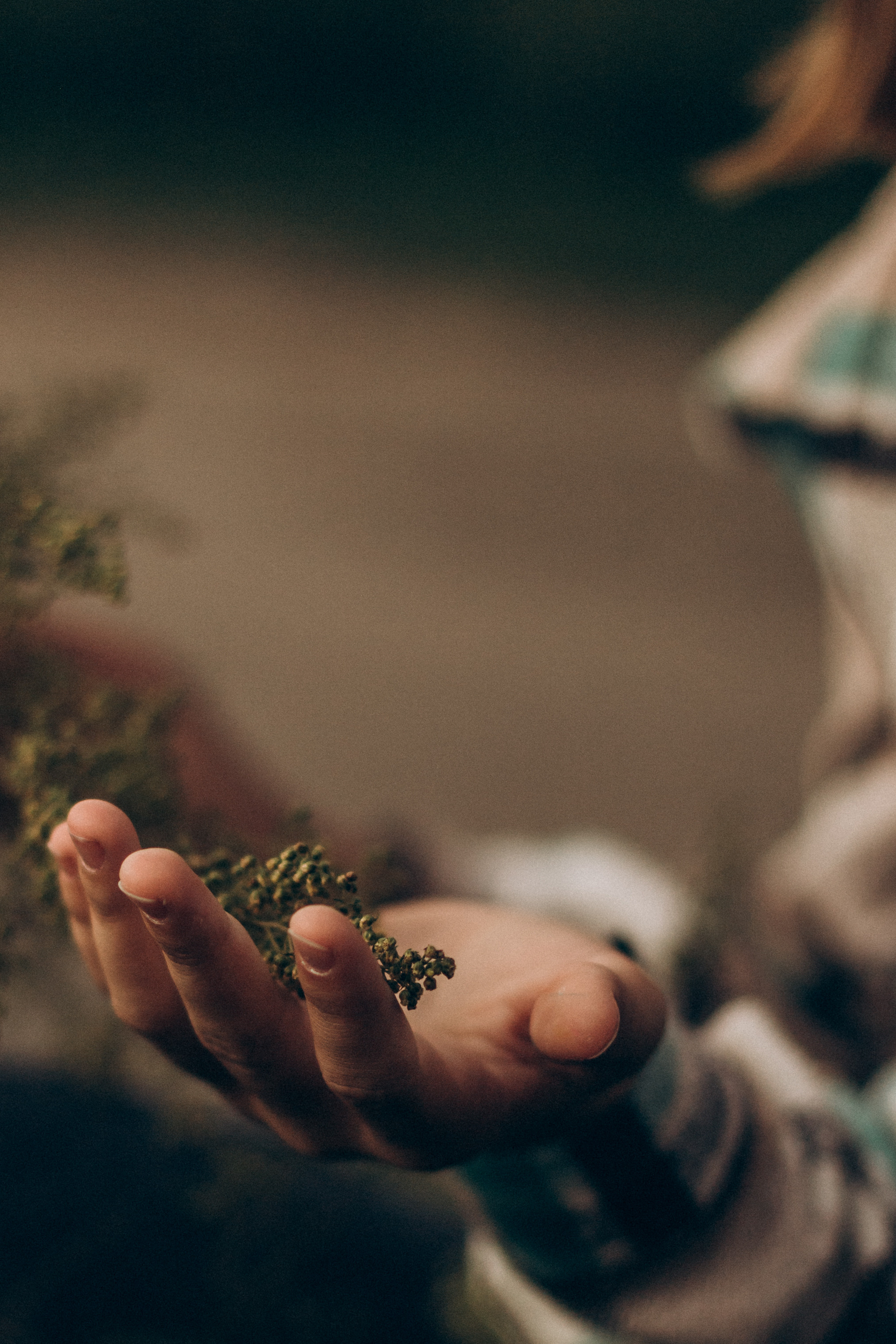 София. Семейный фотограф lifestyle в Новосибирске Елена Шпилевая