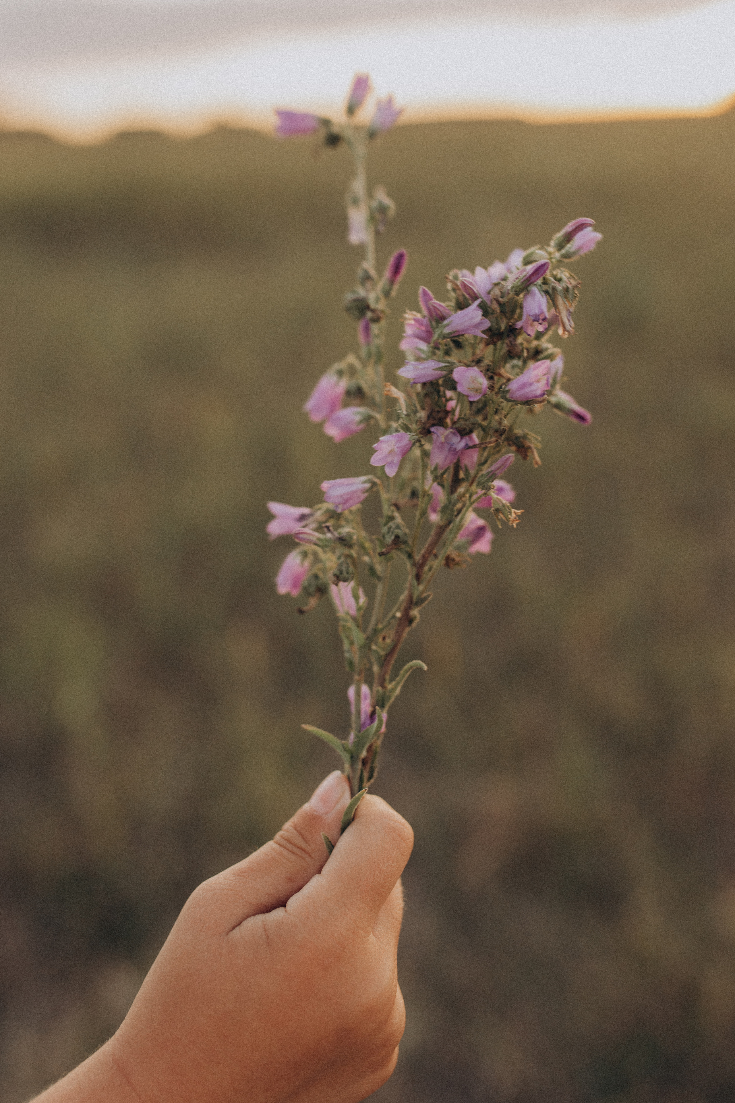 Иван, Вера, Вика, Саша и Миша. Семейный фотограф lifestyle в Новосибирске Елена Шпилевая