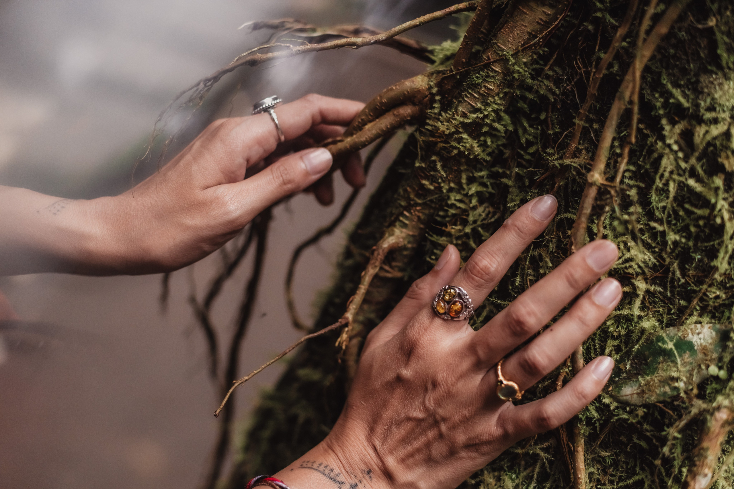 Connection. Мариам Багдасарян