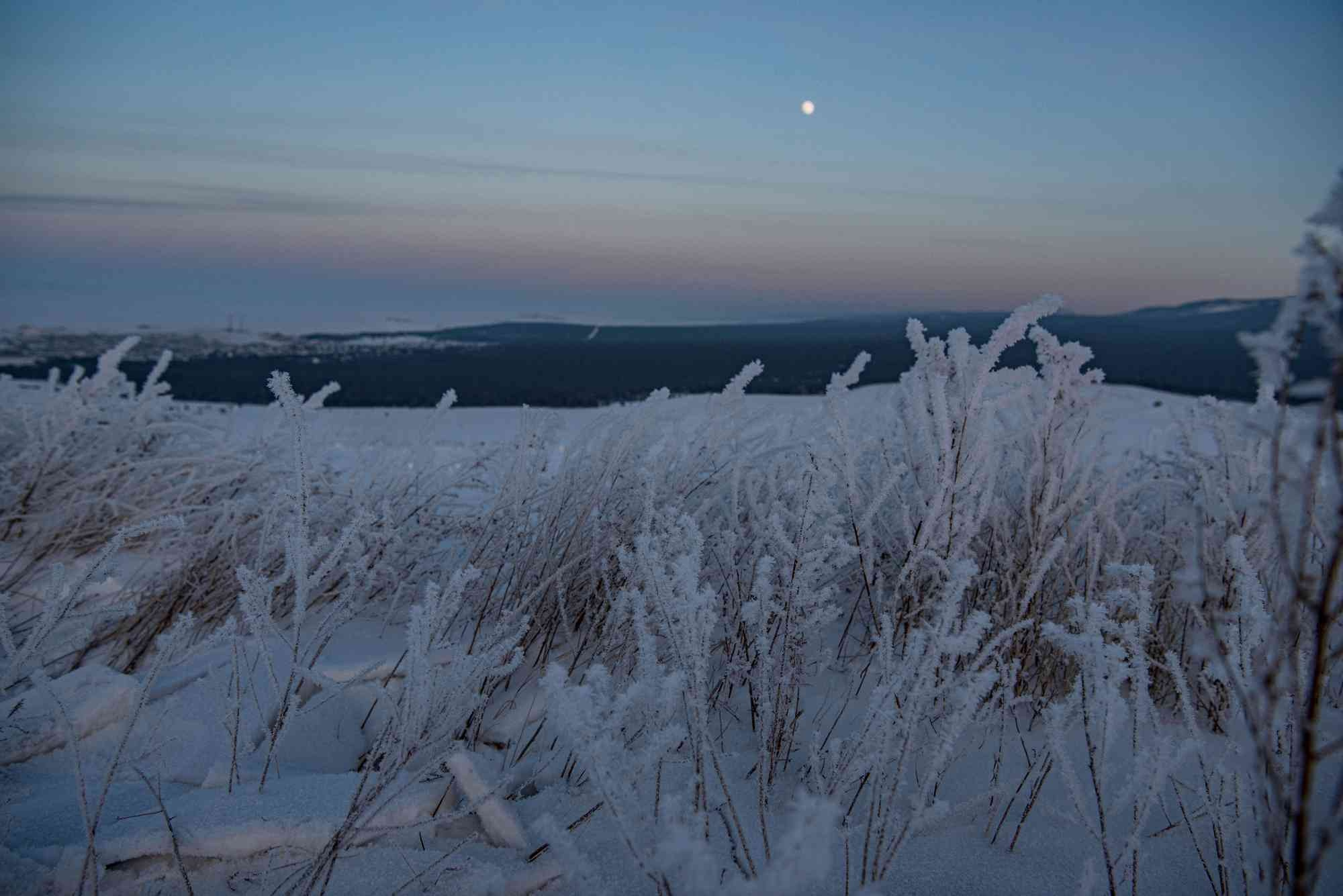 Портфолио. Свадебный фотограф Дина Сейцман
