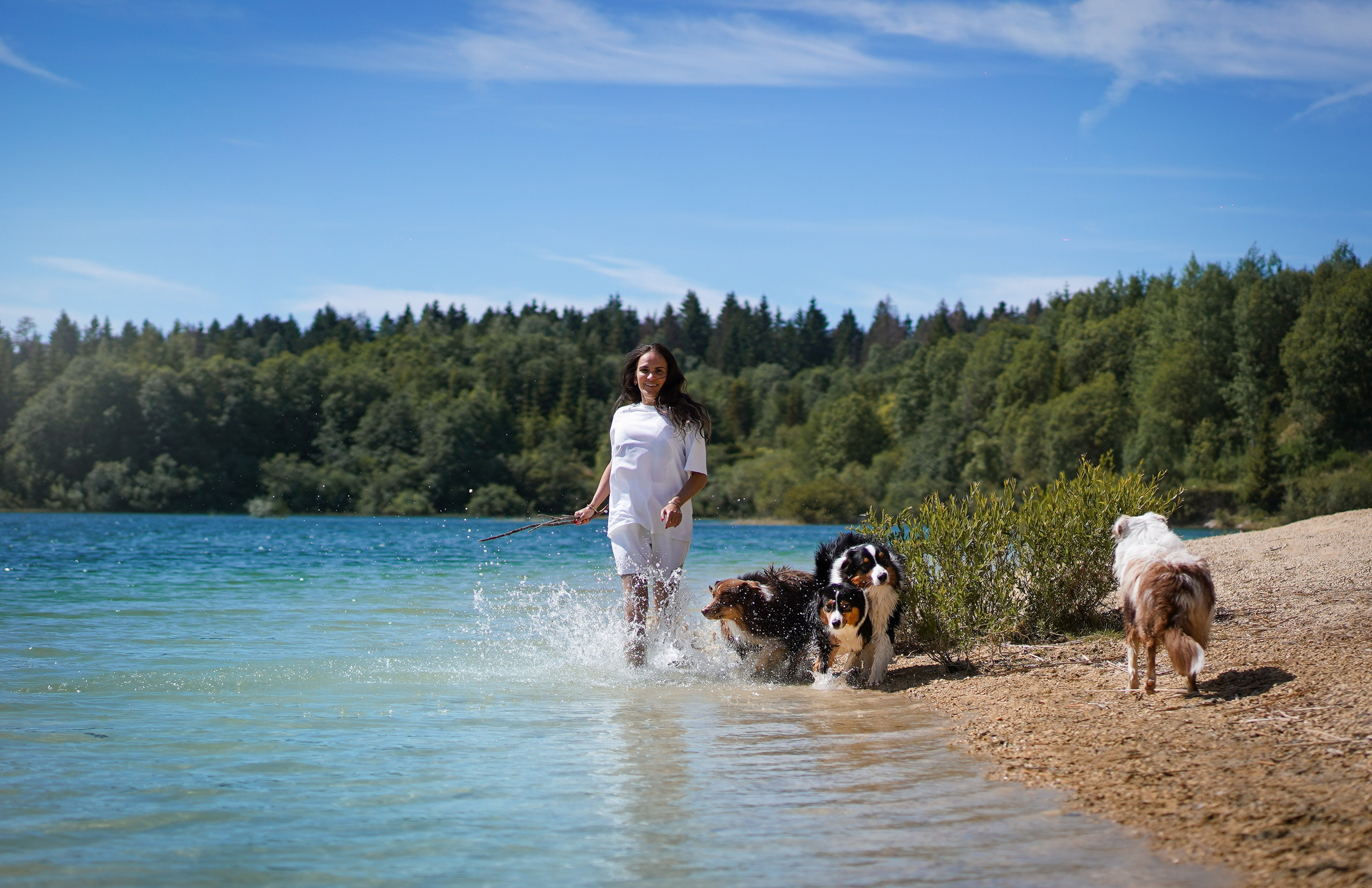Аусси на карьерах. Фотограф-анималист в Санкт-Петербурге Яна Мартынова