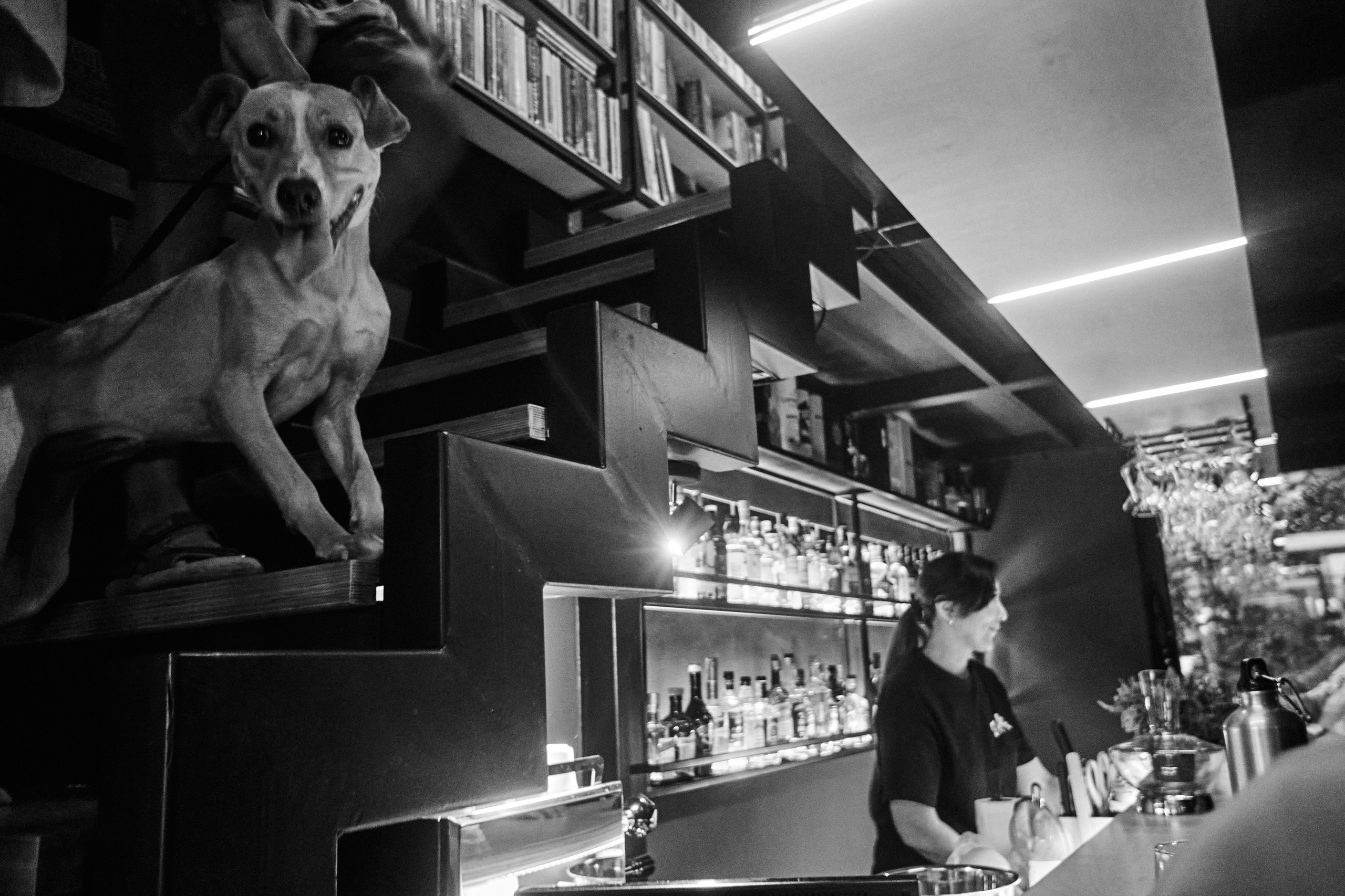 Barbarabar. See the moment and catche. commercial and reportage