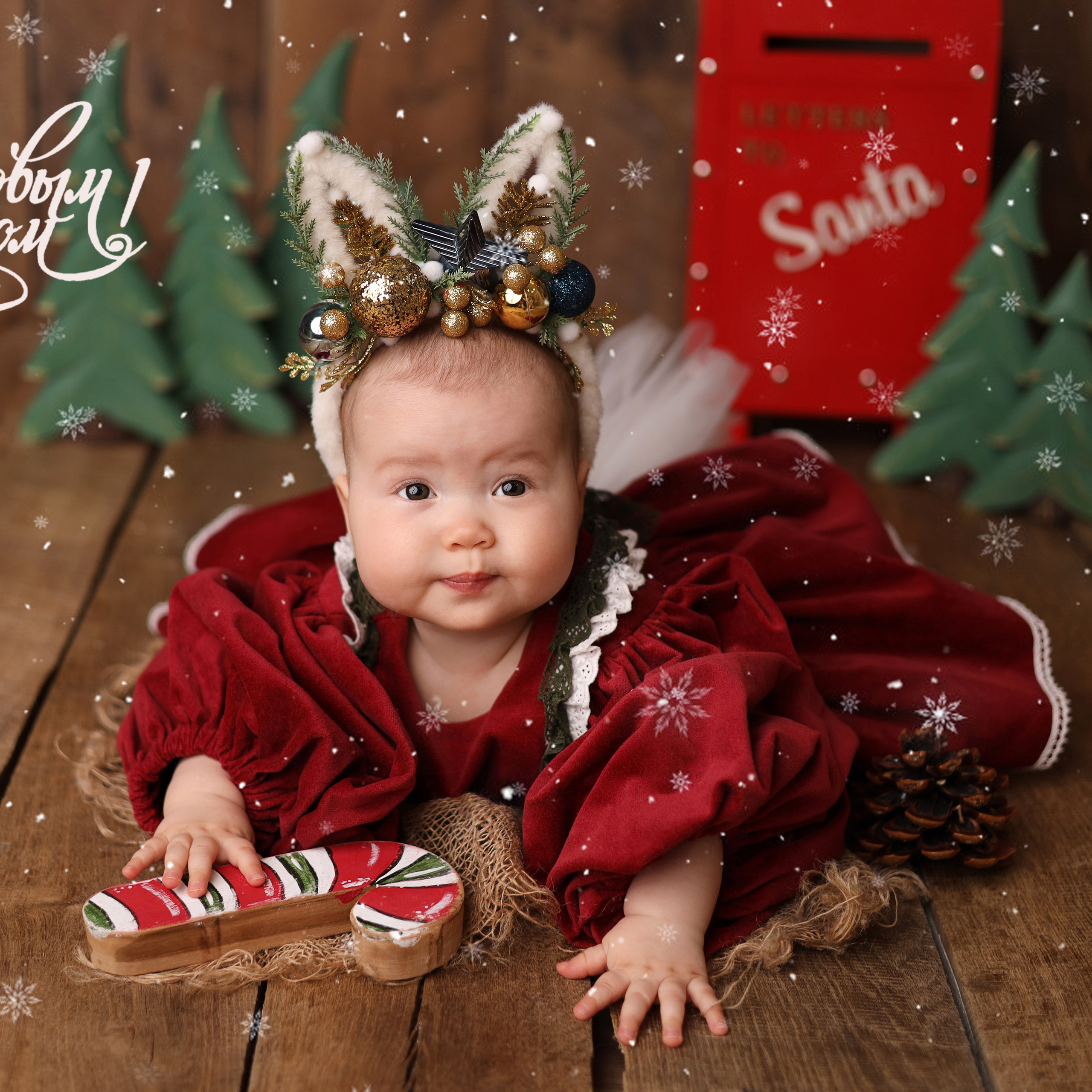 Девочки 6 месяцев. Фотограф новорожденных Москва. Ньюборн фотограф Москва