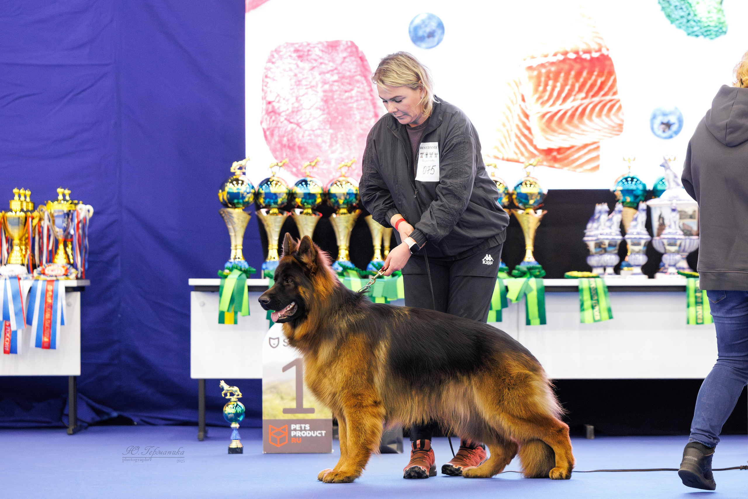 Питер 12-13.12.2025. Фотограф-анималист Юлия Германика