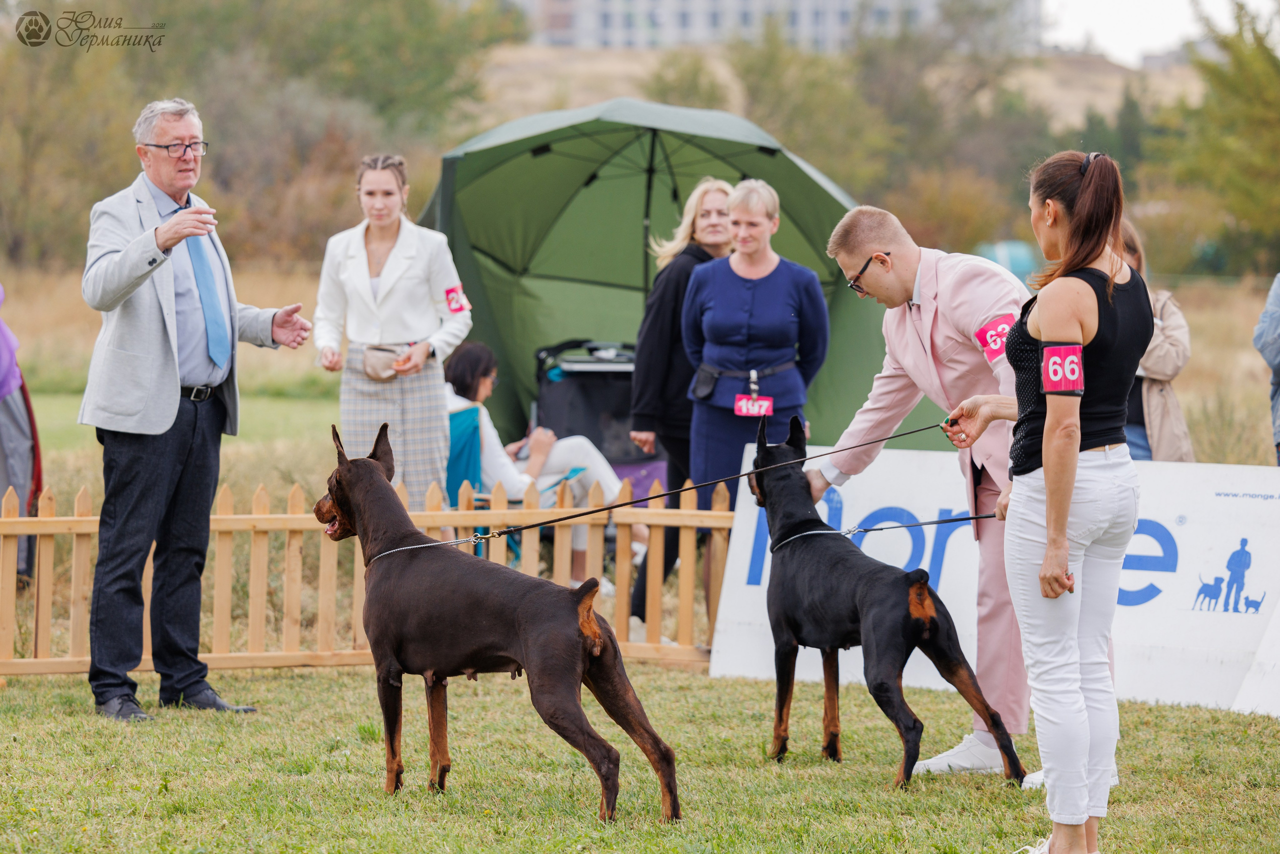 Армения,Ереван 3хCACIB 15-17.10.2024. Фотограф-анималист Юлия Германика