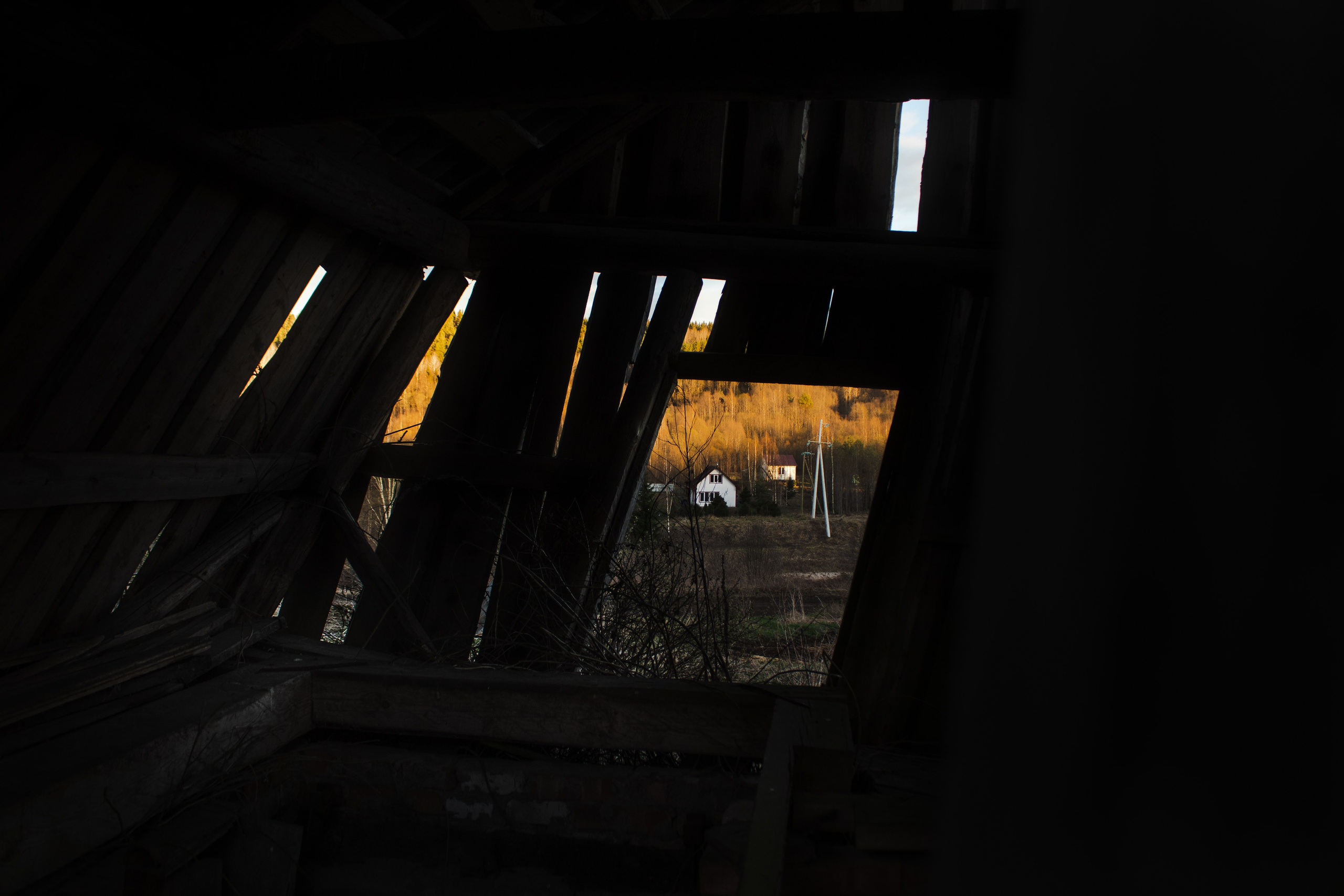 Вепсский ковчег. Полина Щапова БМК235 Медиаком — НИУ ВШЭ