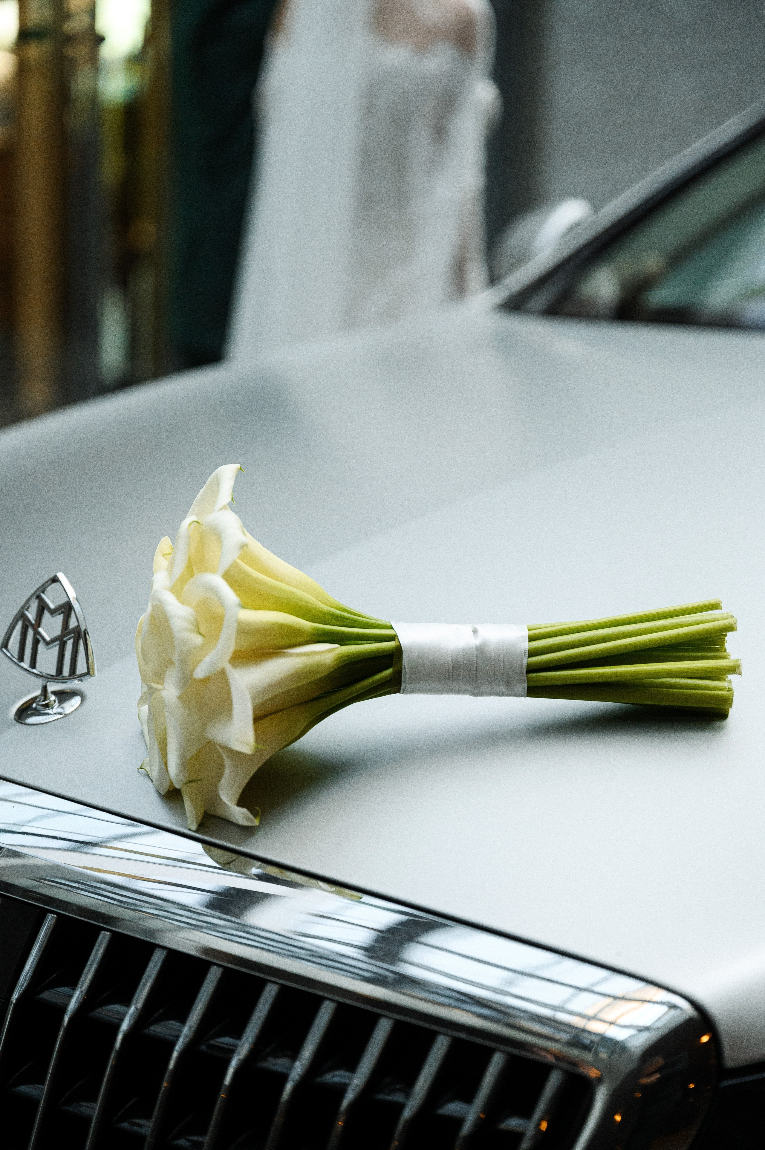 Илья & Алина