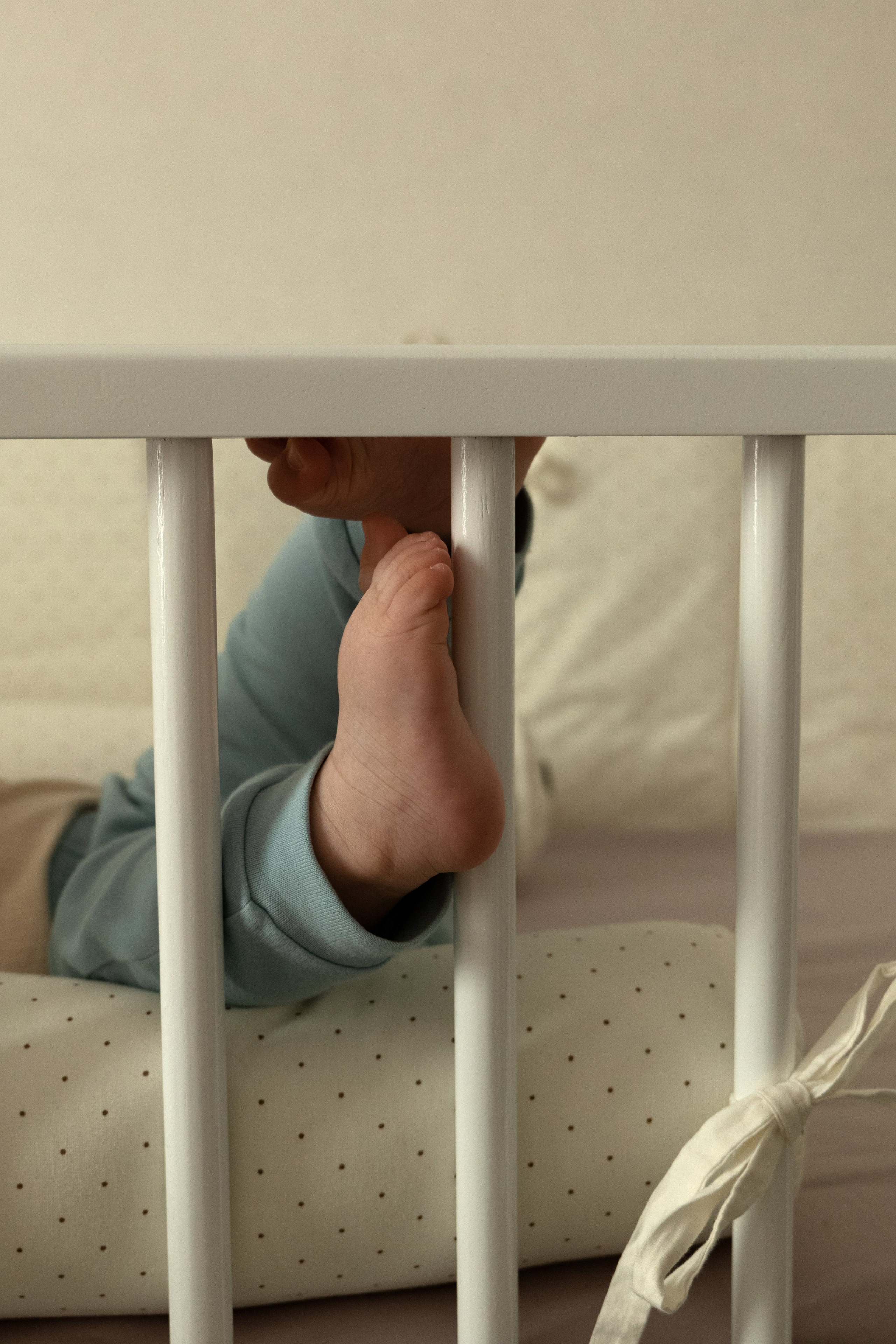 10 месяцев счастья. Фотограф видеограф Ольга Василевская