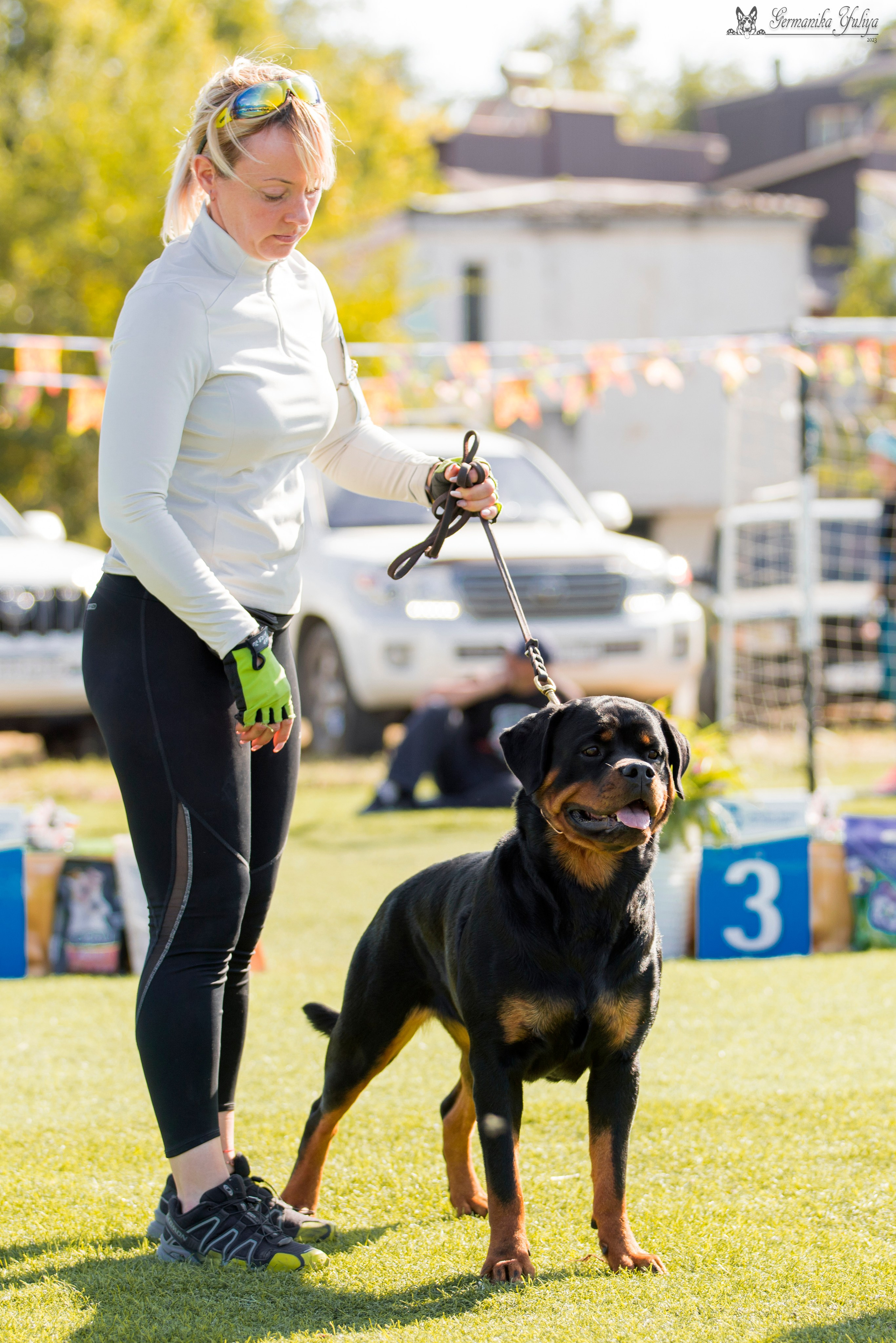 Анапа 16-17.09.2023 моно ротвейлеров. Фотограф-анималист Юлия Германика