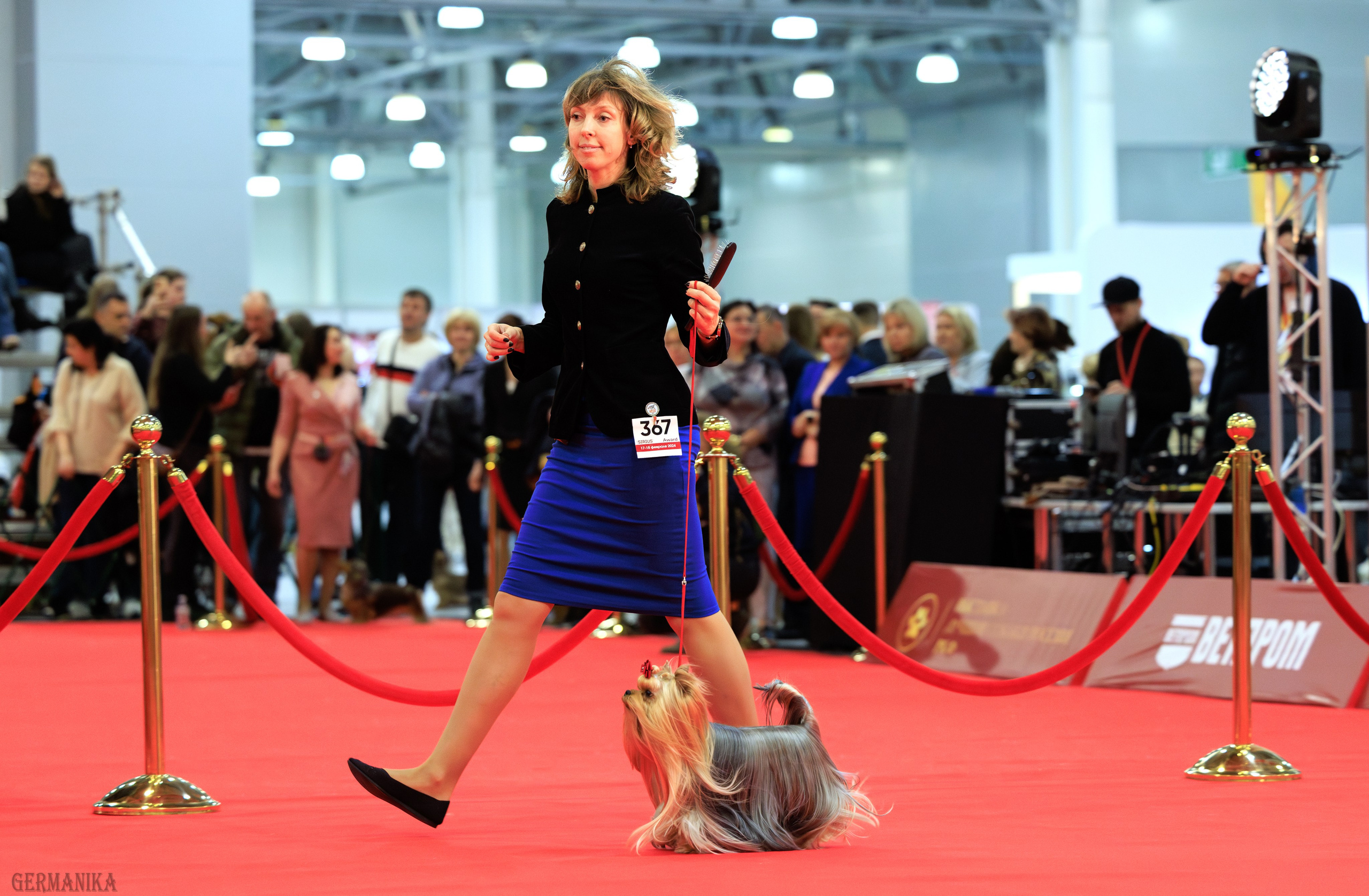 Лучшие Собаки России 17-18.02.2024. Фотограф-анималист Юлия Германика