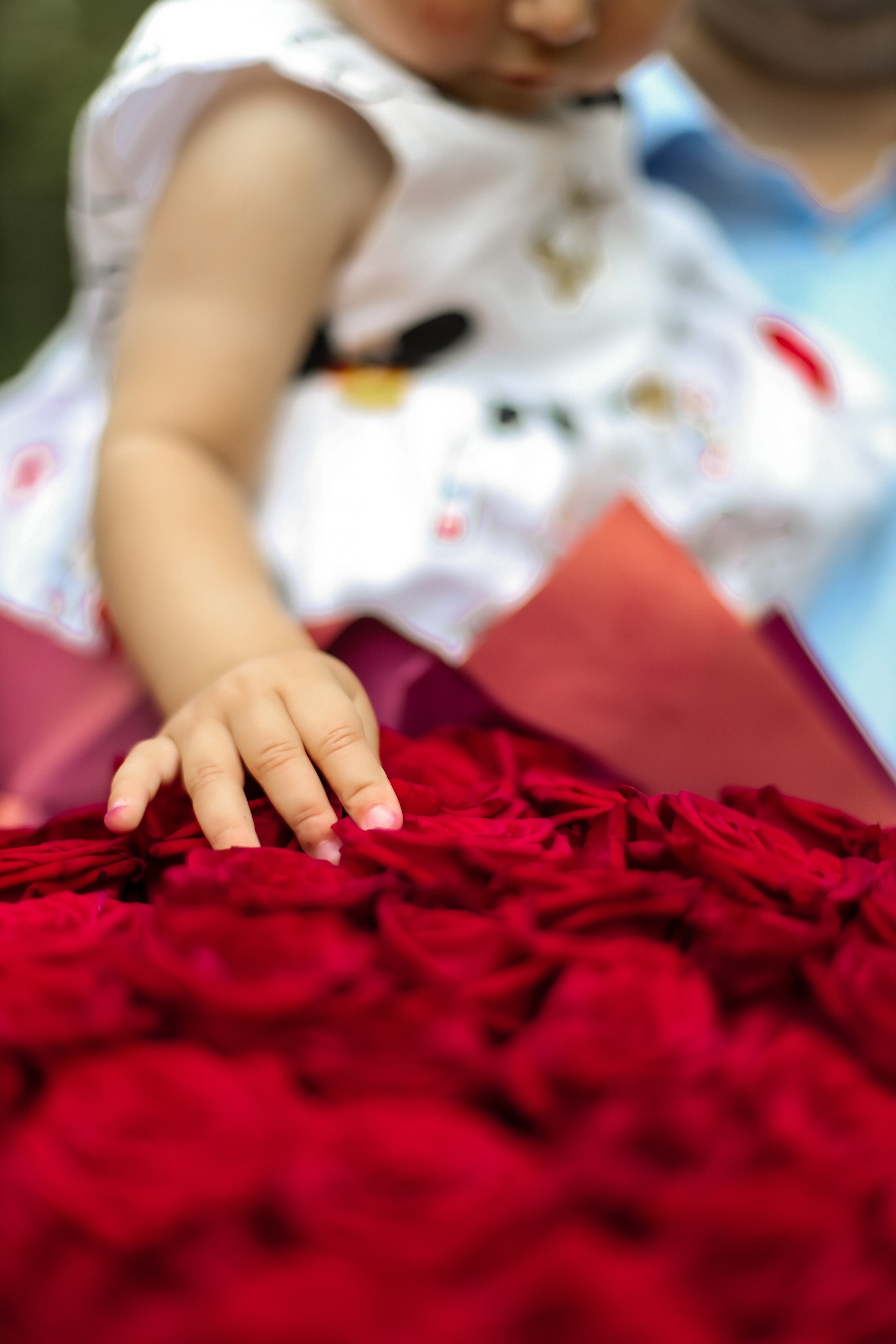 Николь день рождения. Kharchenkotatianaweddingphoto