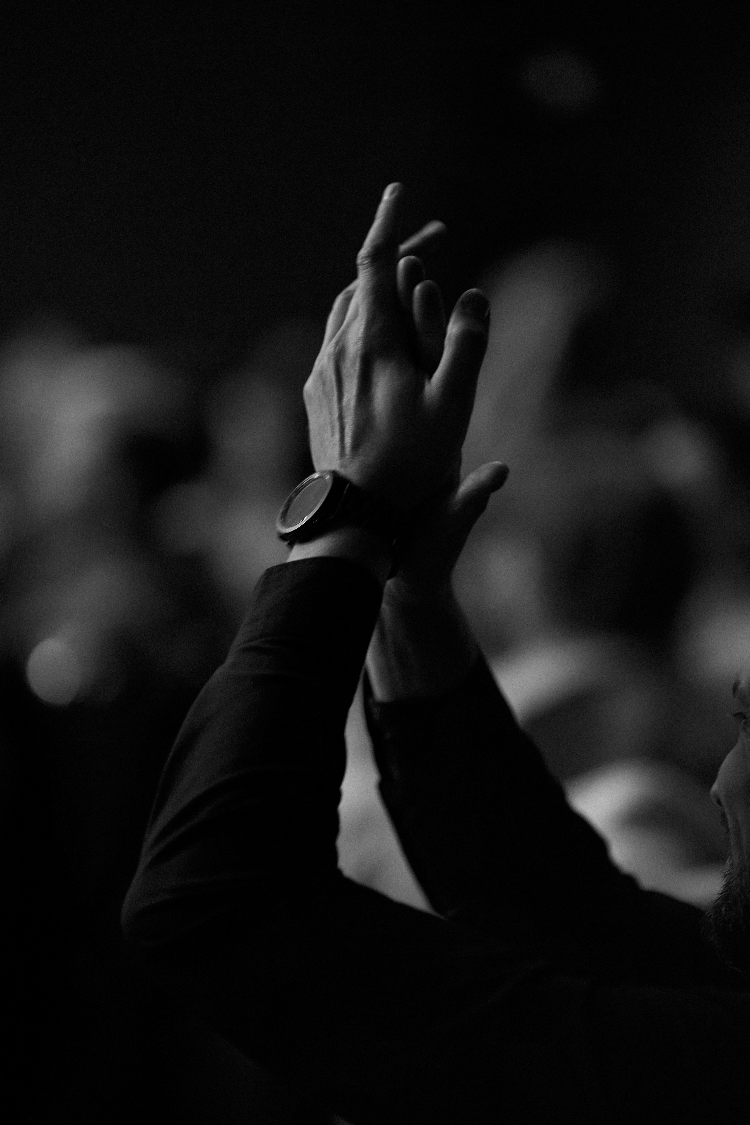 КОЧКА. Фотограф Айвазова Наталья Краснодар