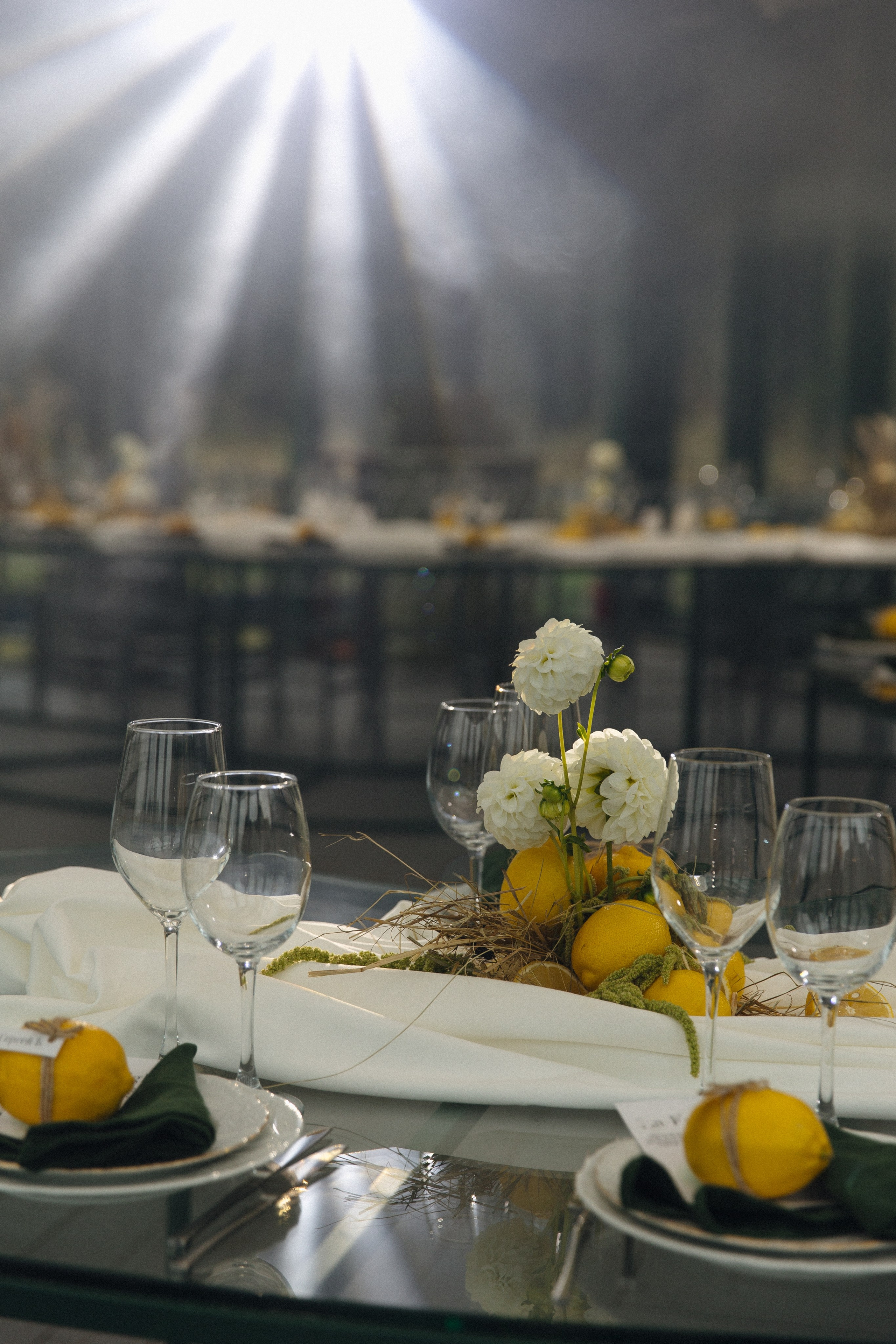 V & D. Свадебный фотограф Екатерина Садчикова