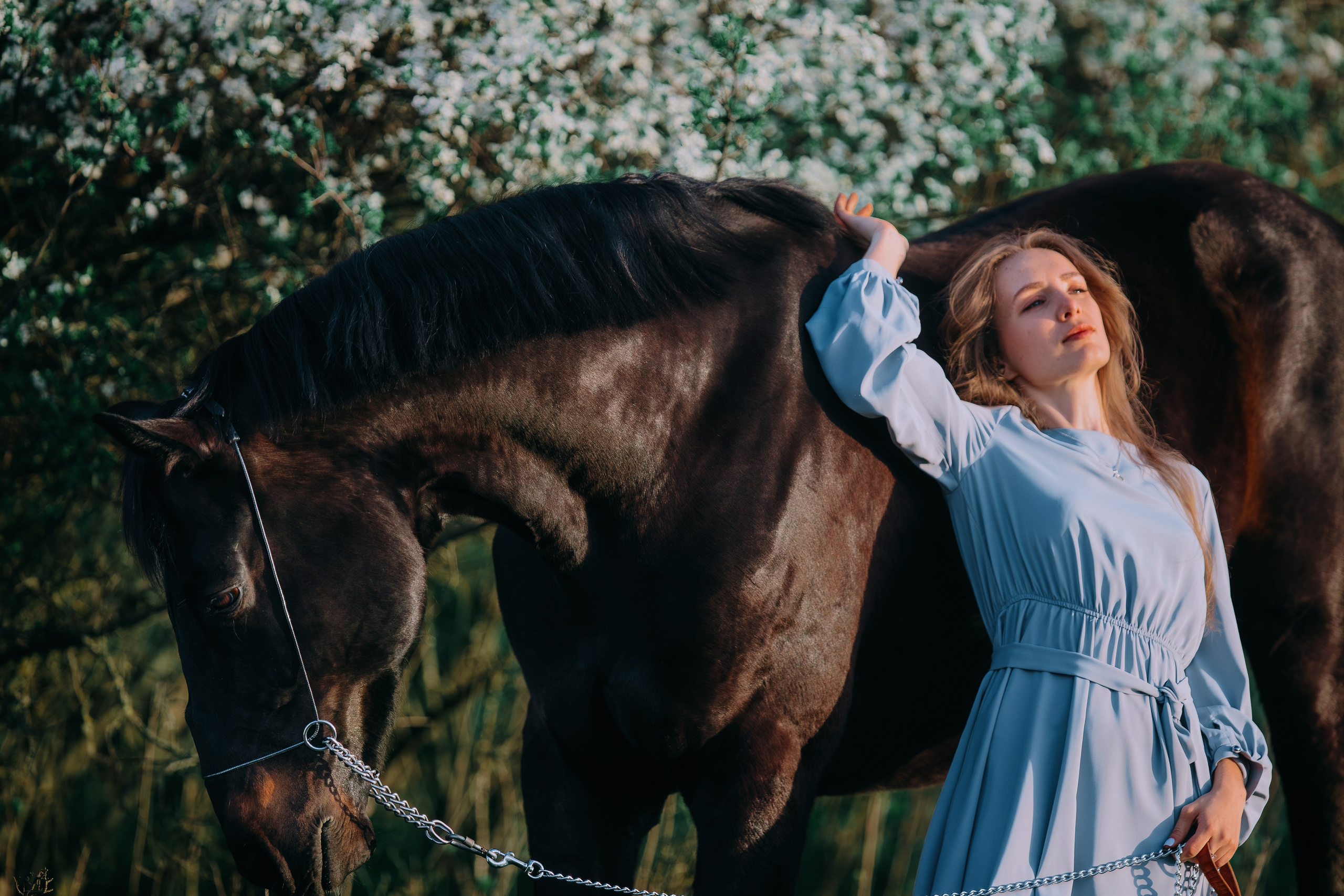 Вероника и Брэй. Фотограф-анималист Ксендзова Кристина