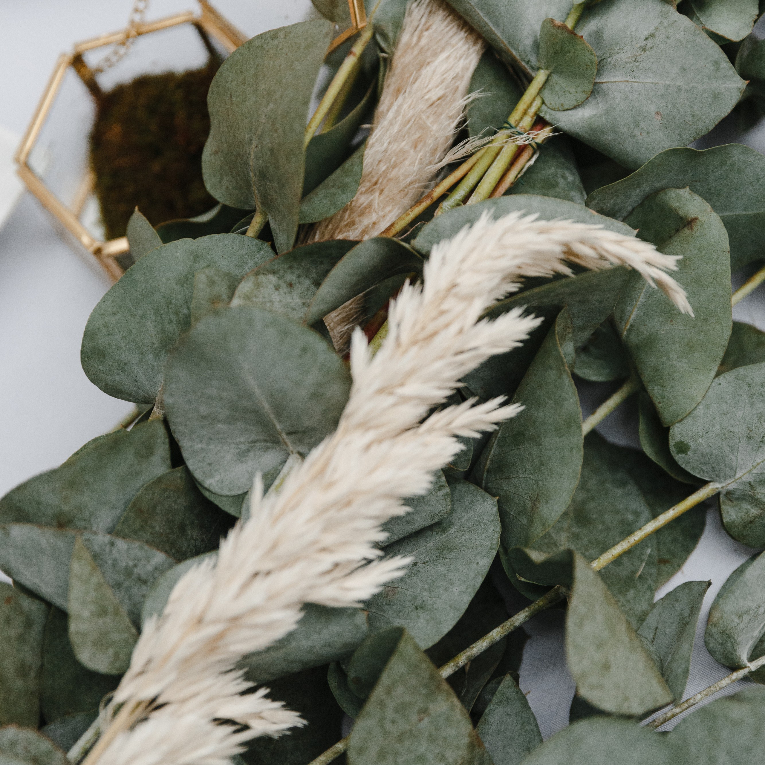 Crush (full day). Свадебный фотограф в Москве Мария Крош