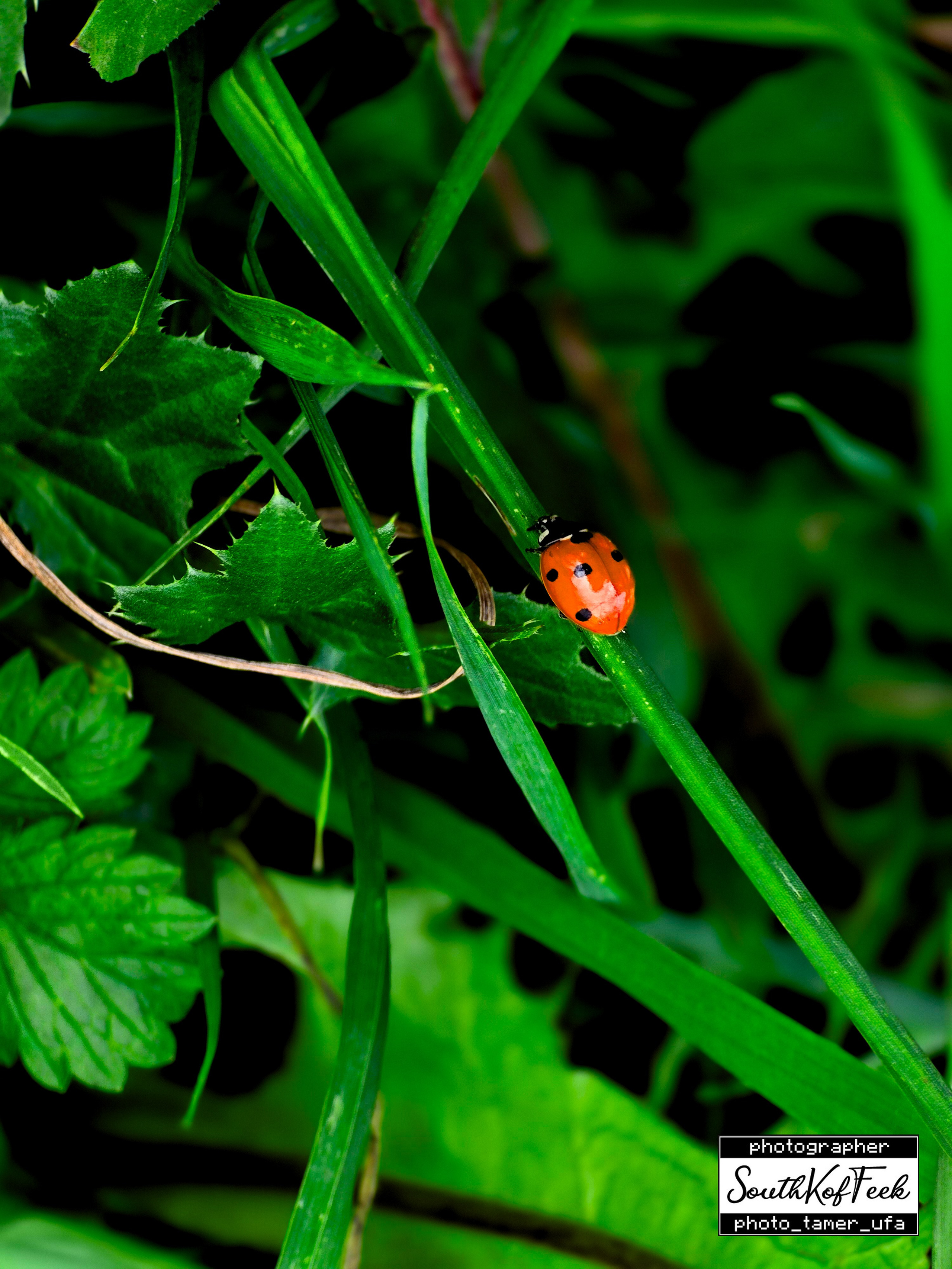 Прочие съемки. Photo Tamer Ufa