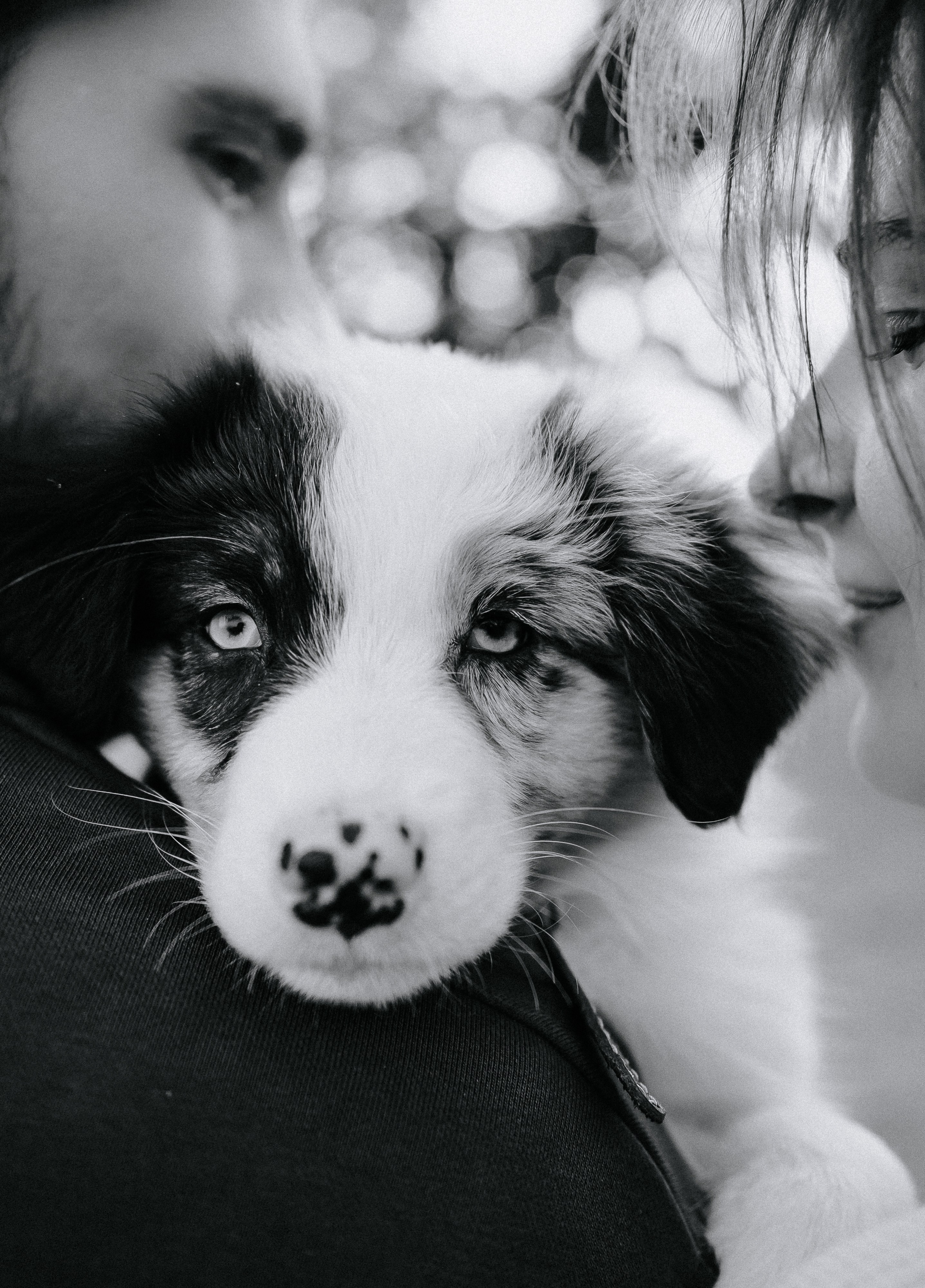 Полина, Саша и Хлоя. Семейный и свадебный фотограф в Челябинске Юлия Софьина