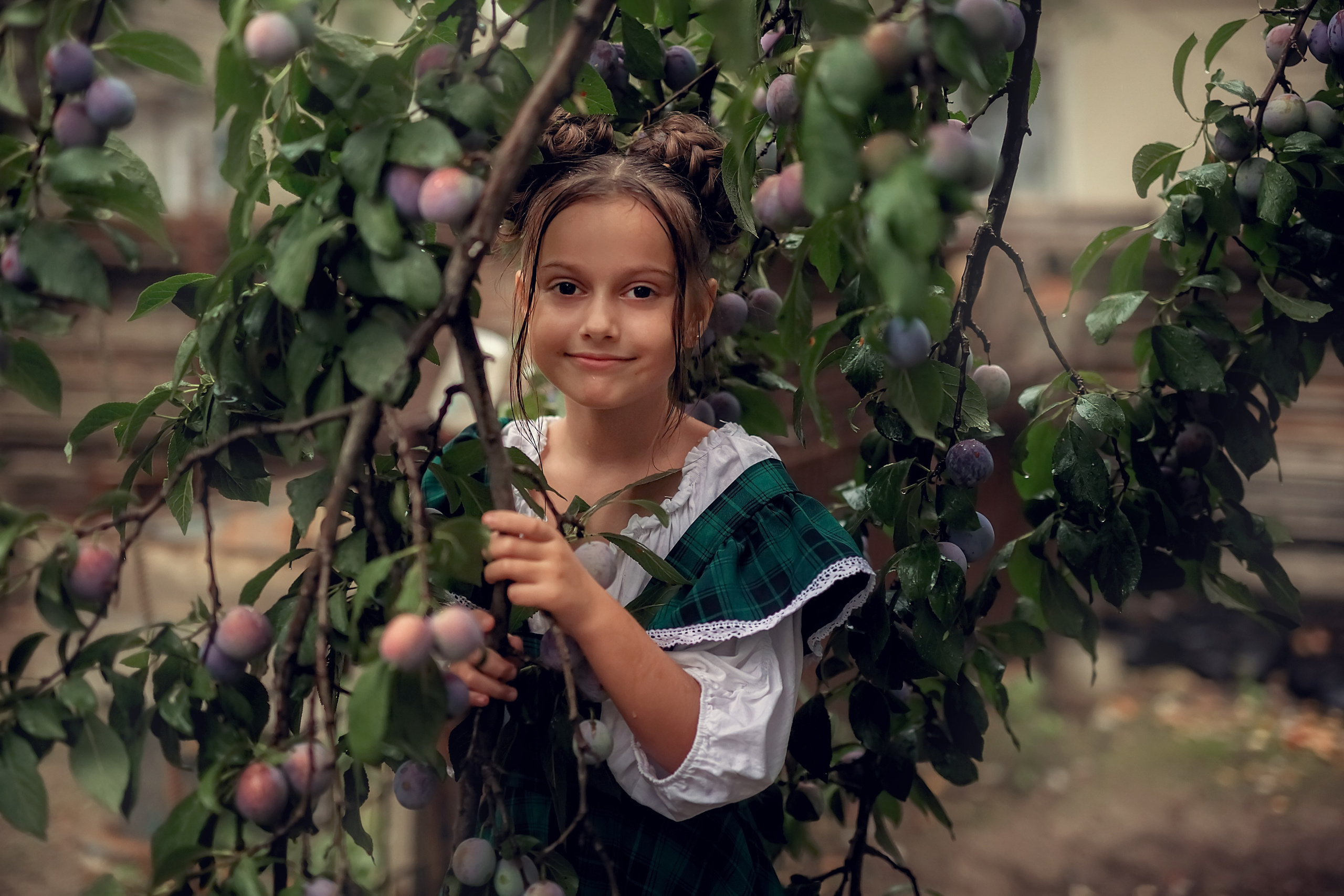 Сливовая история. Семейный и детский фотограф Екатерина Савёлова