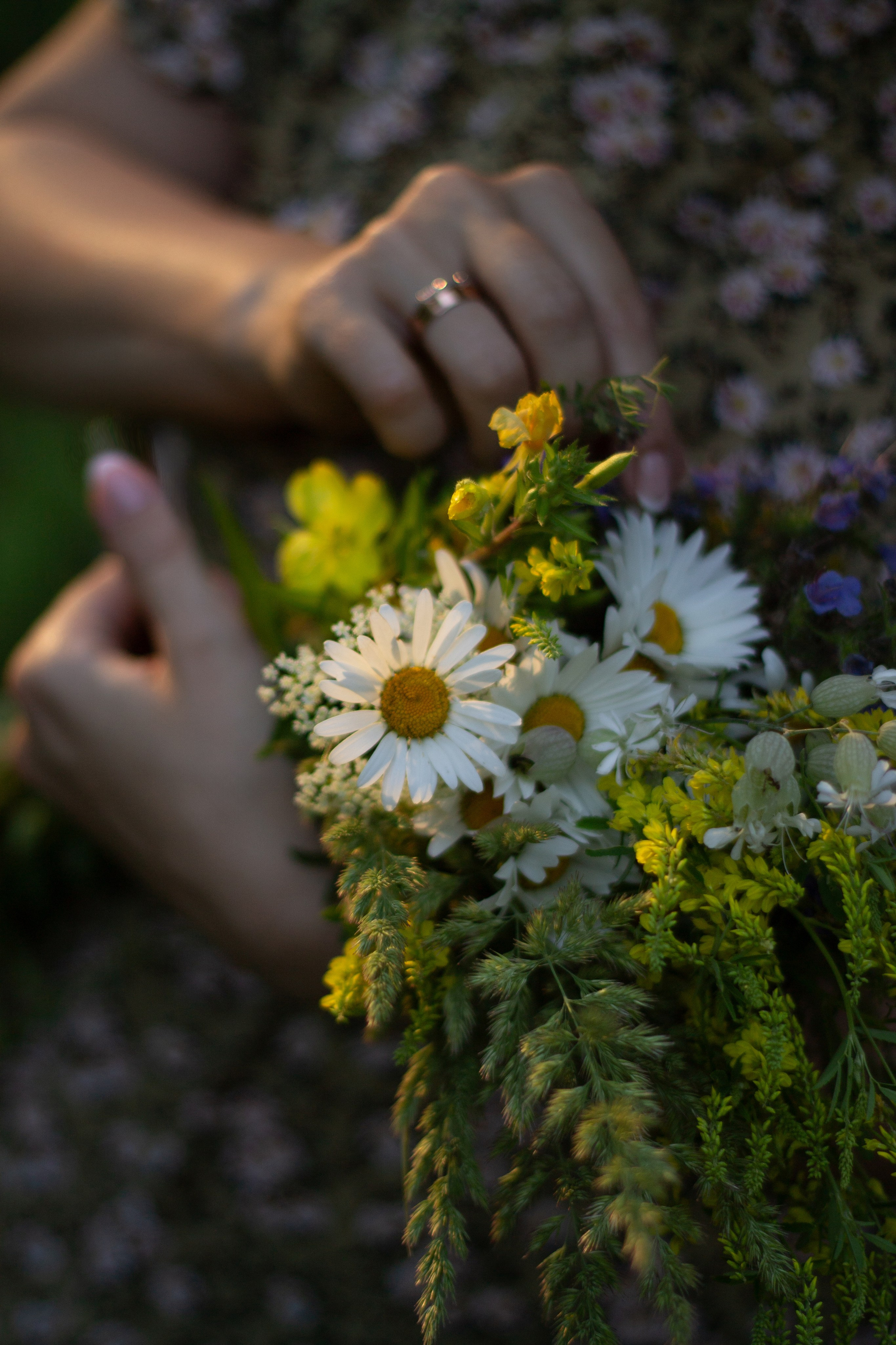 Женский портрет в Бологое. Свадебный и семейный фотограф Бологое Тверь — Ninel