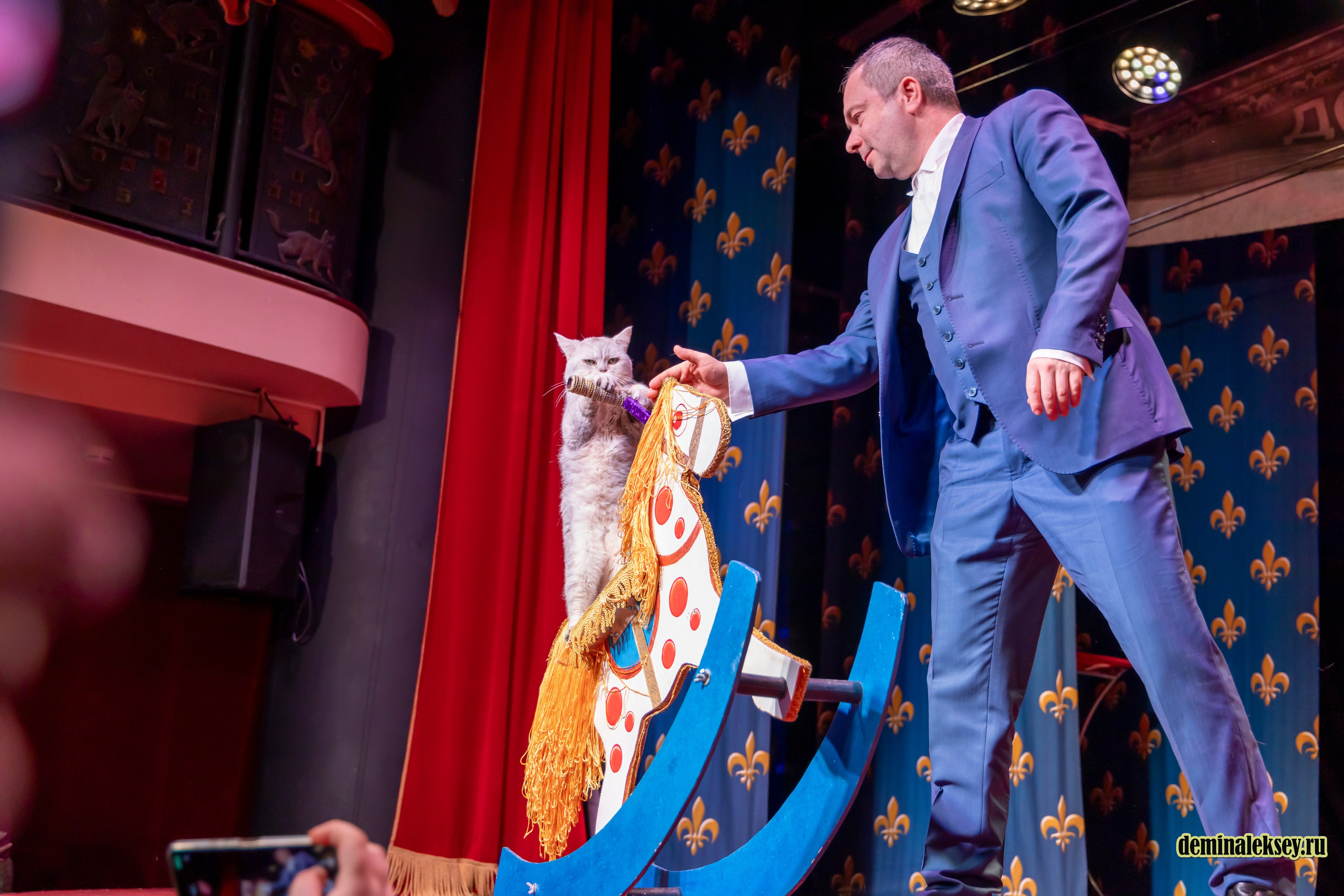 Театр кошек Куклачева 26 февраля 2025. Репортажный, семейный и студийный фотограф в Москве Демин Алексей