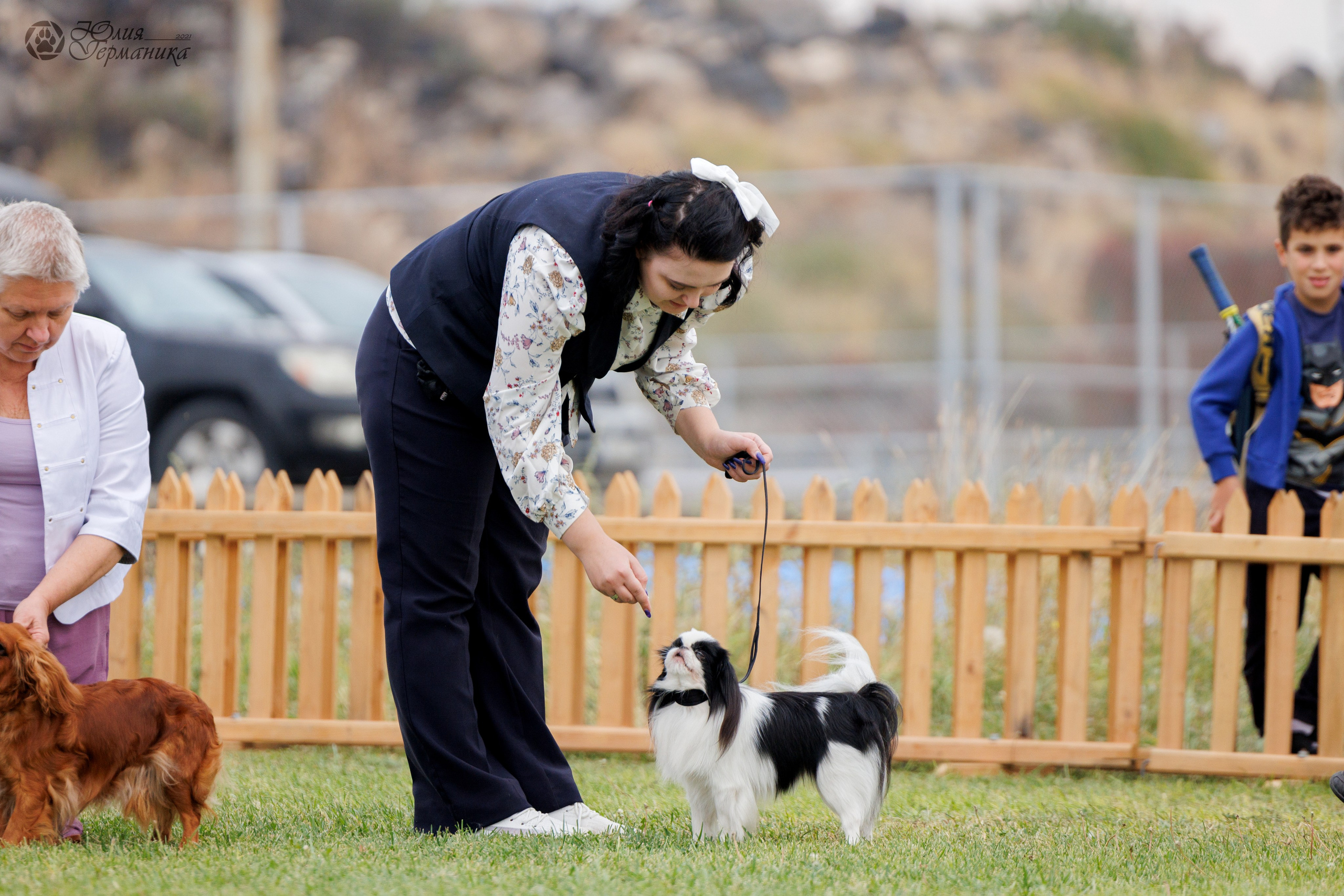 Армения,Ереван 3хCACIB 15-17.10.2024. Фотограф-анималист Юлия Германика