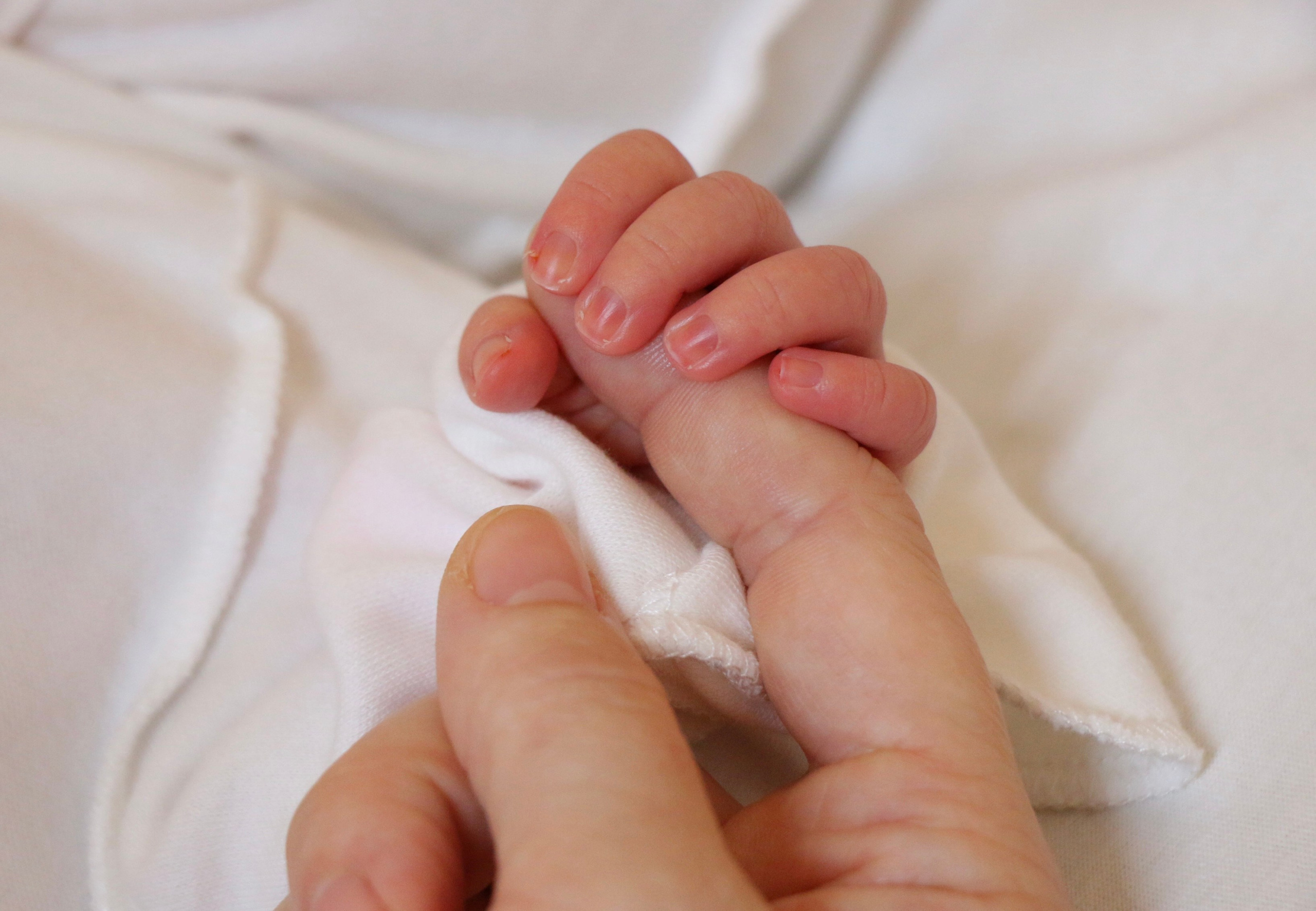 Выписка из роддома. Семейный и детский фотограф в Ялте Ольга Солерина