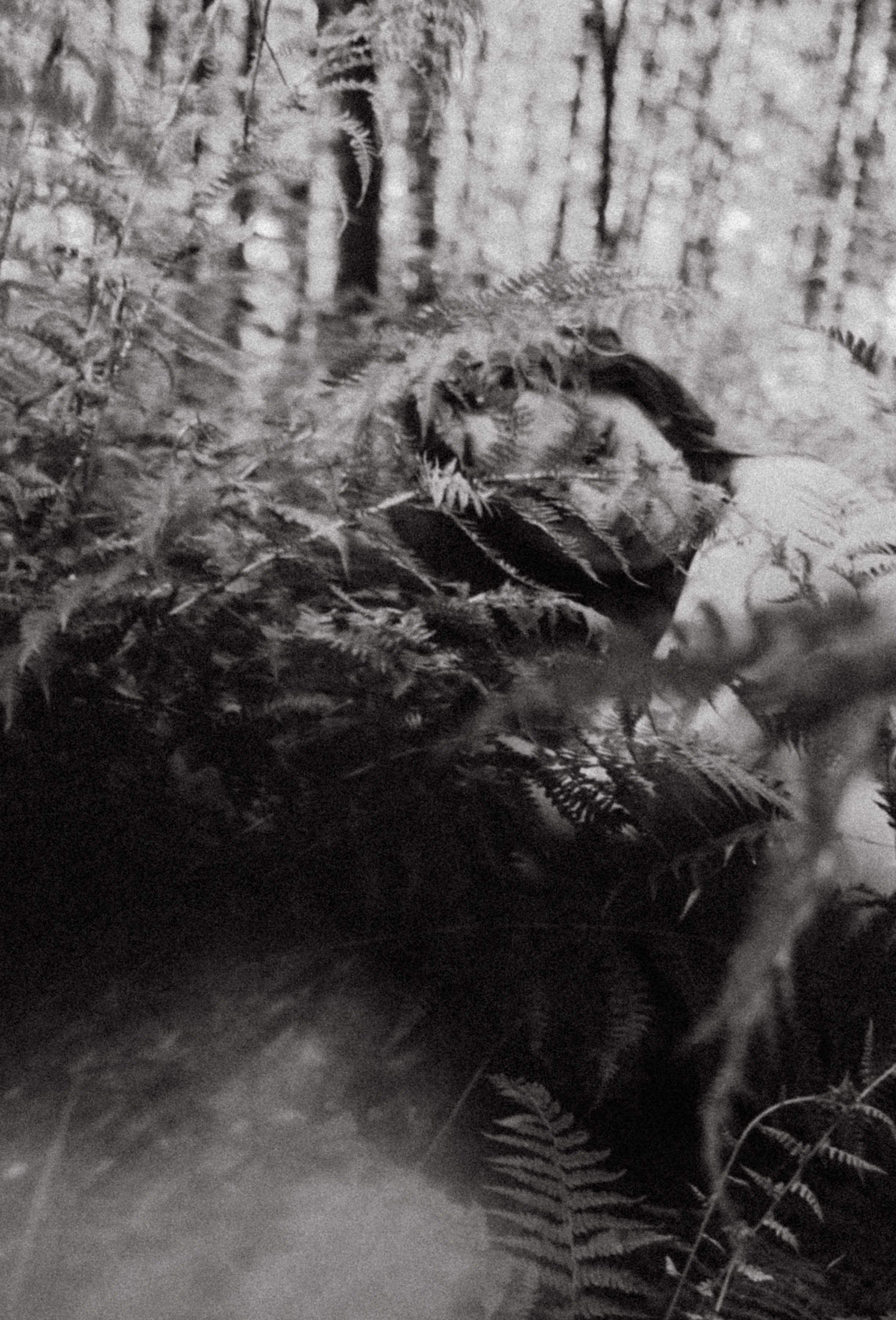 Даша. Фотограф в Нижнем Новгороде