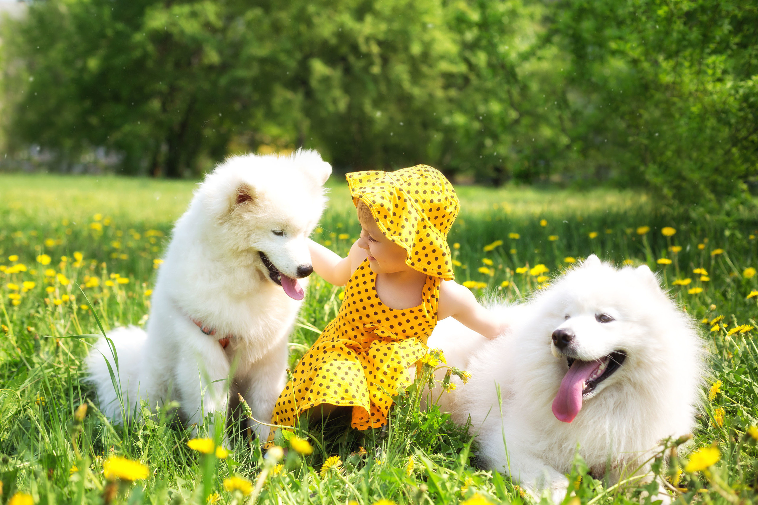 Фотограф в Крыму, г. Севастополь Екатерина Перепадина