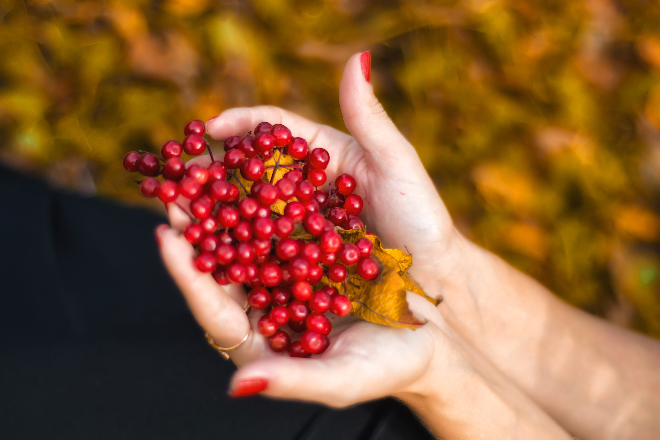 Фотограф в Крыму, г. Севастополь Екатерина Перепадина