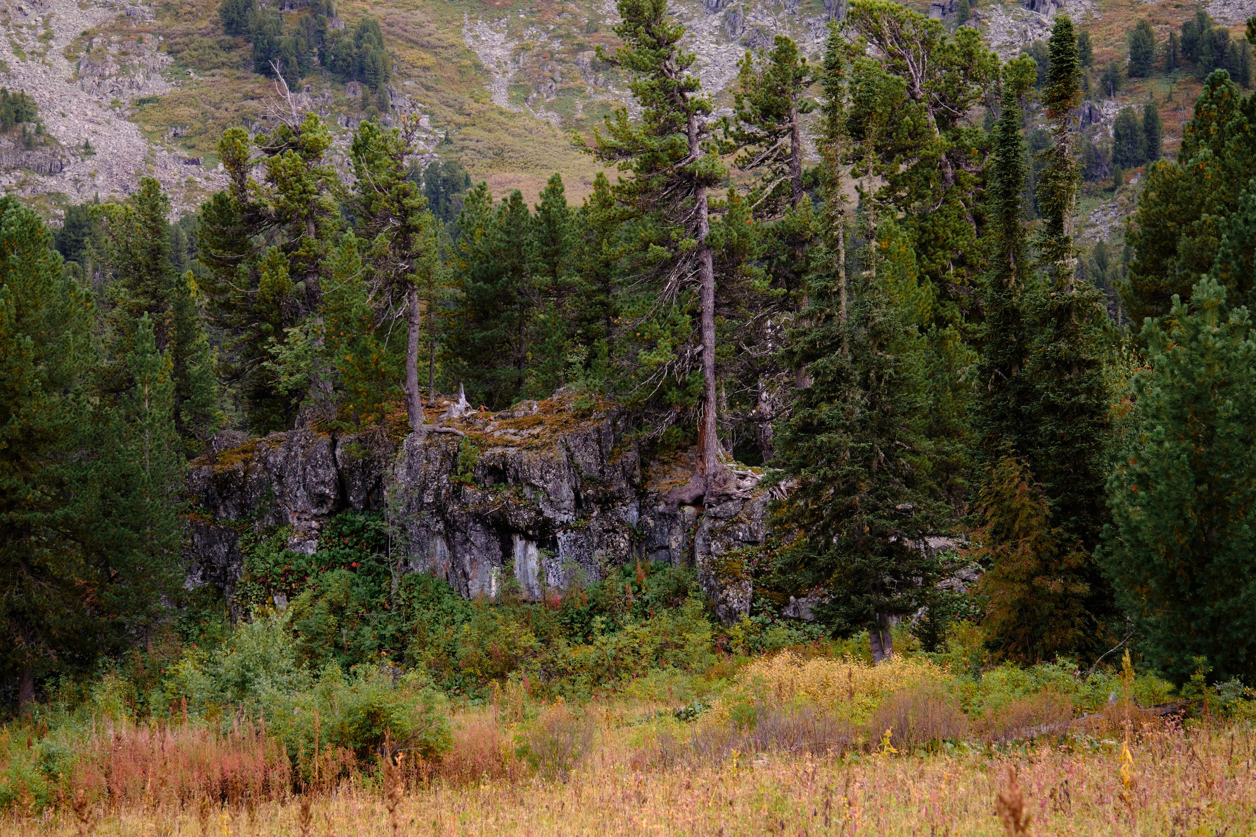 Алтай. Юрий Березнюк. Фотожурналистика