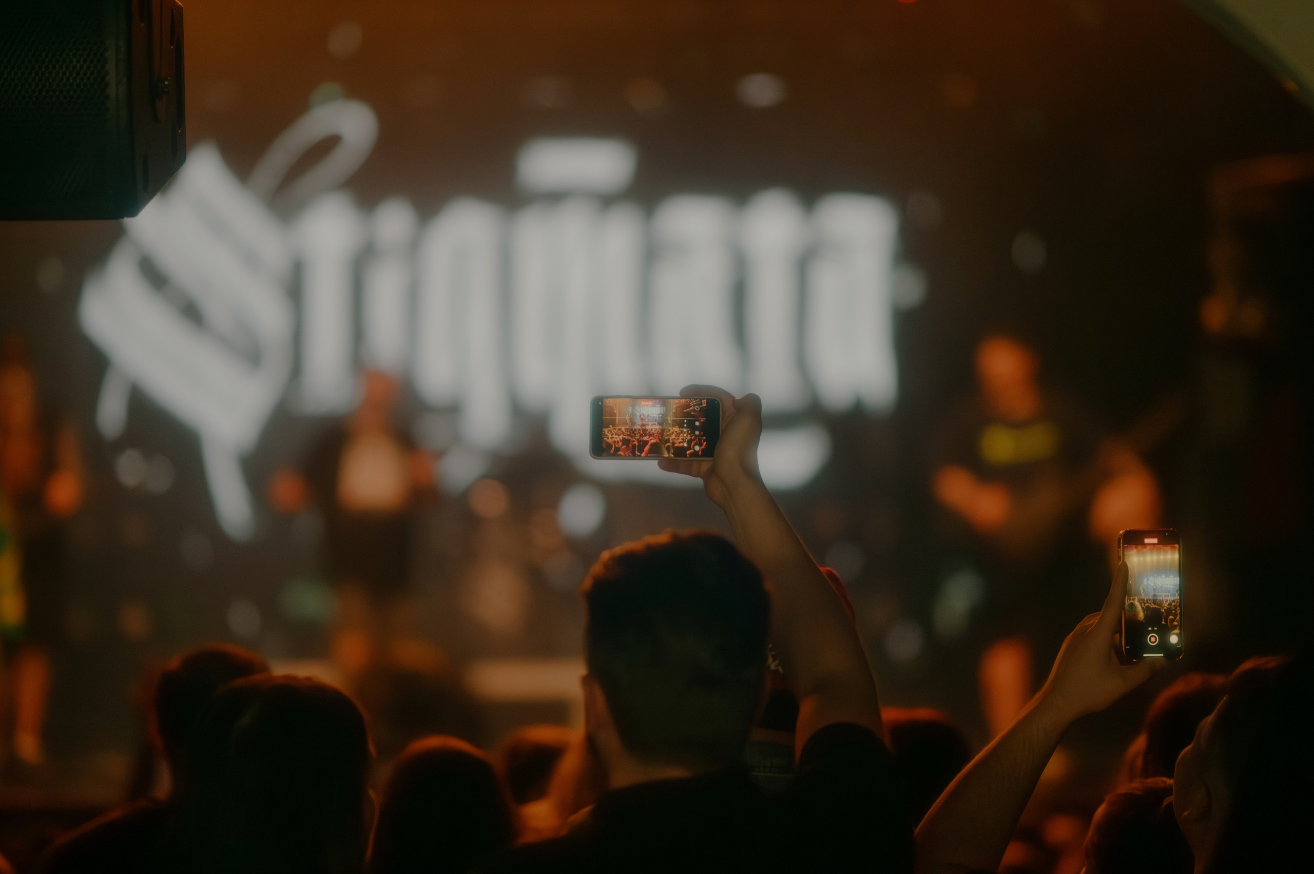 Стигмата. Контент фотограф Илья Урс