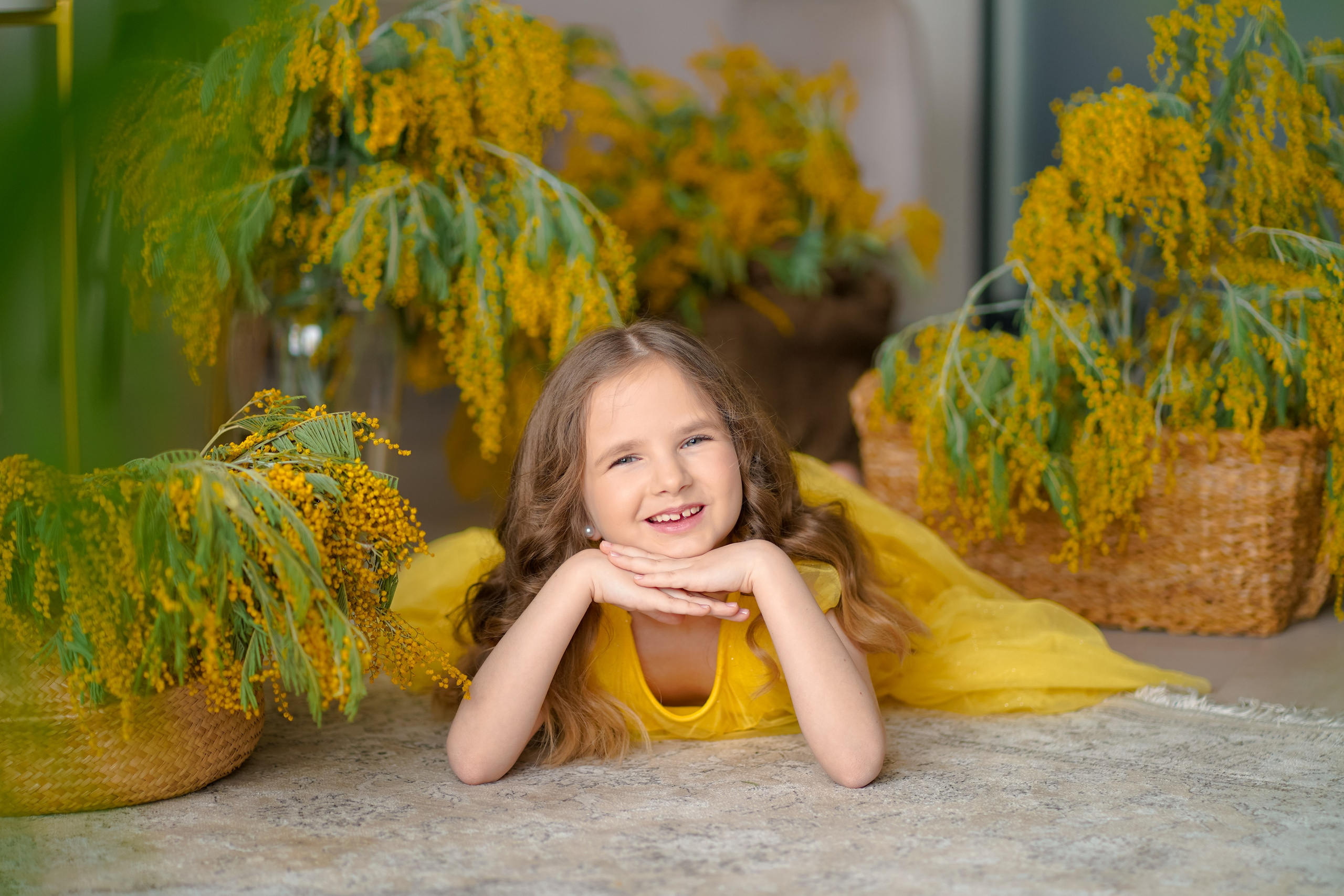 Мимоза. Фотограф Татьяна Митрофанова