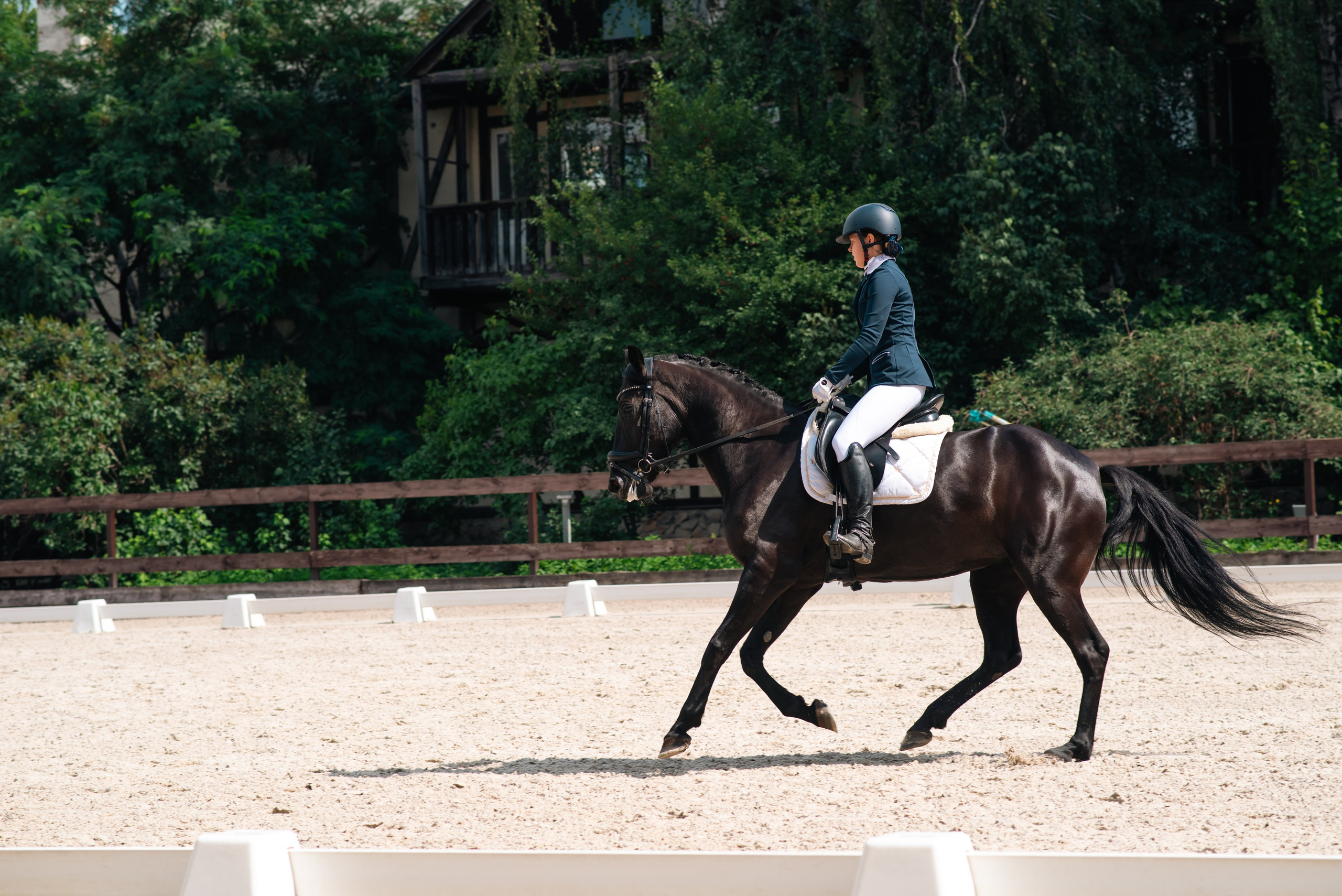 Выездка 10.08.25. Фотограф, визажист. Москва