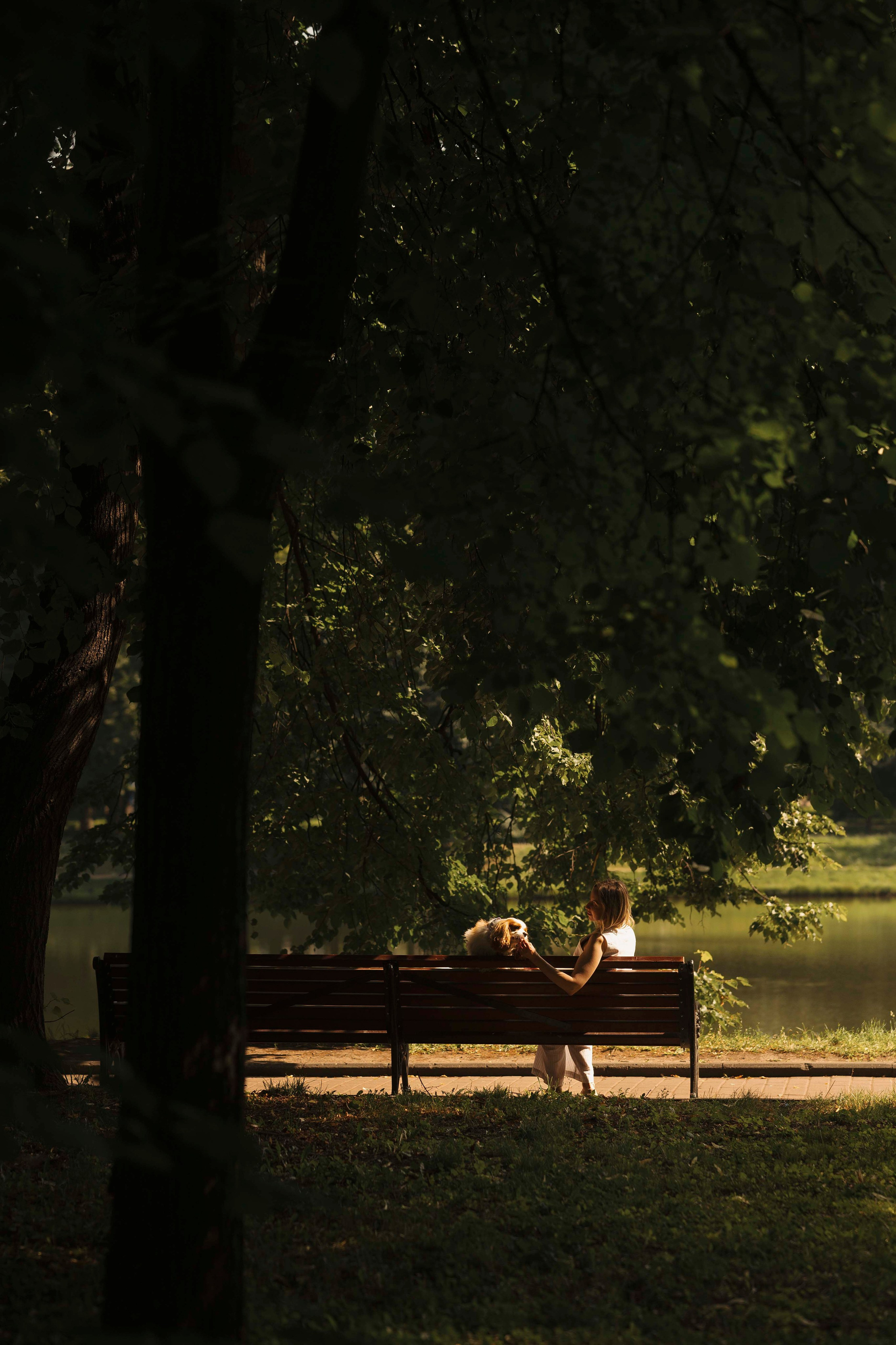Джей. Фотограф- анималист Александра Матвеева