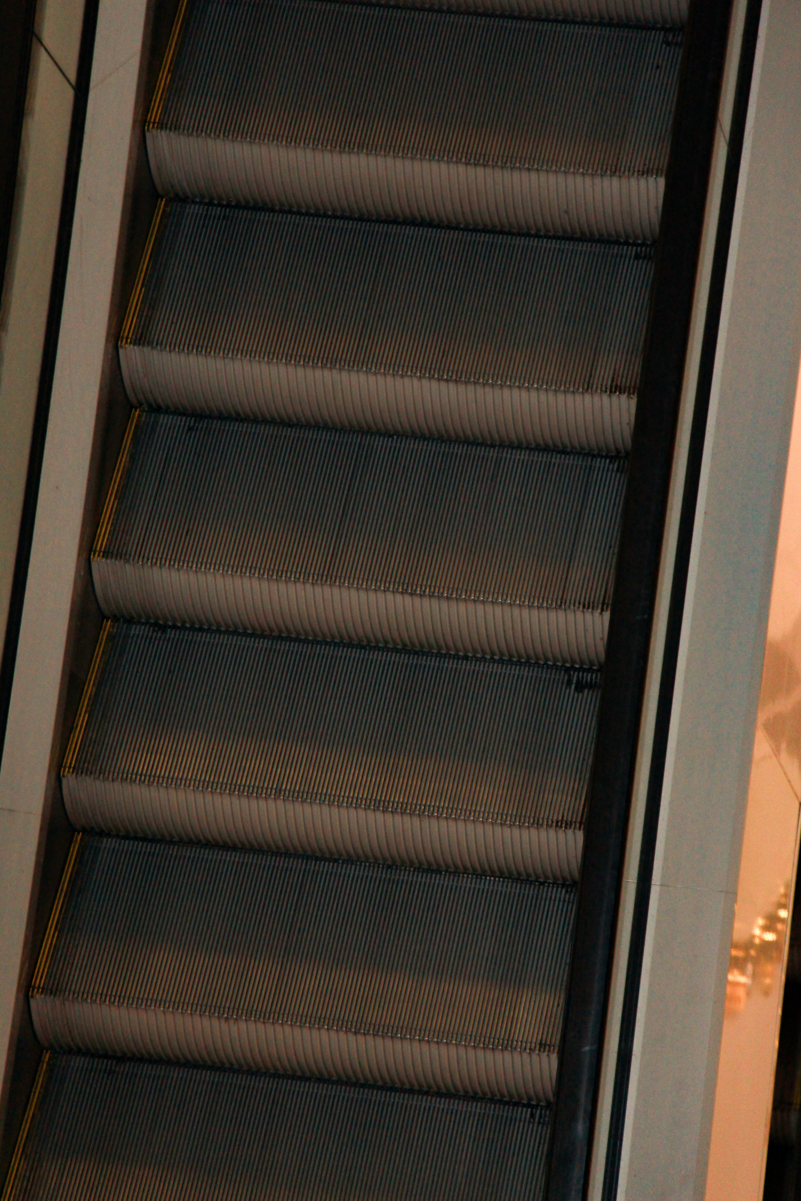 Маша и Маша No.1. Фотограф | Контент и Визуал | Краснодар