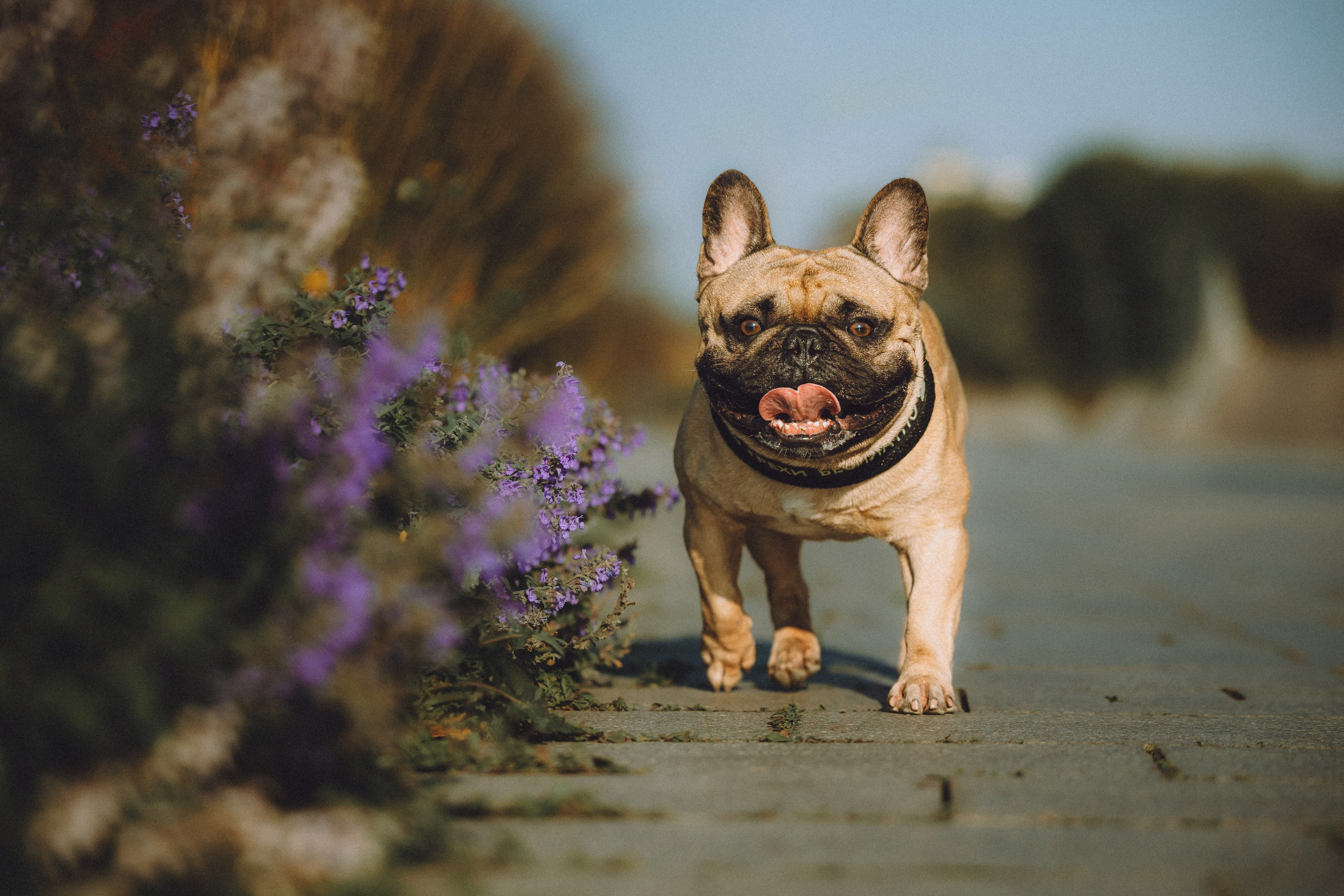 Настя, Женя и Хонор