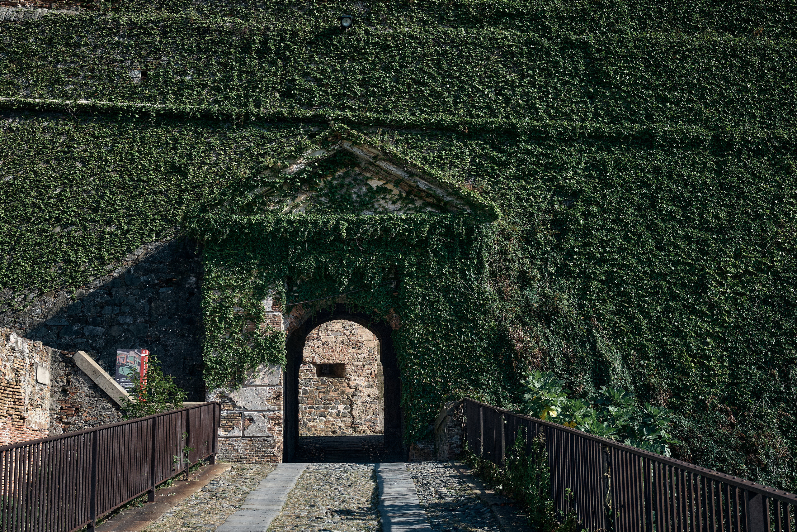 Florence / Siena / Torino / Savona 2023. Aleksandr Kobtsev