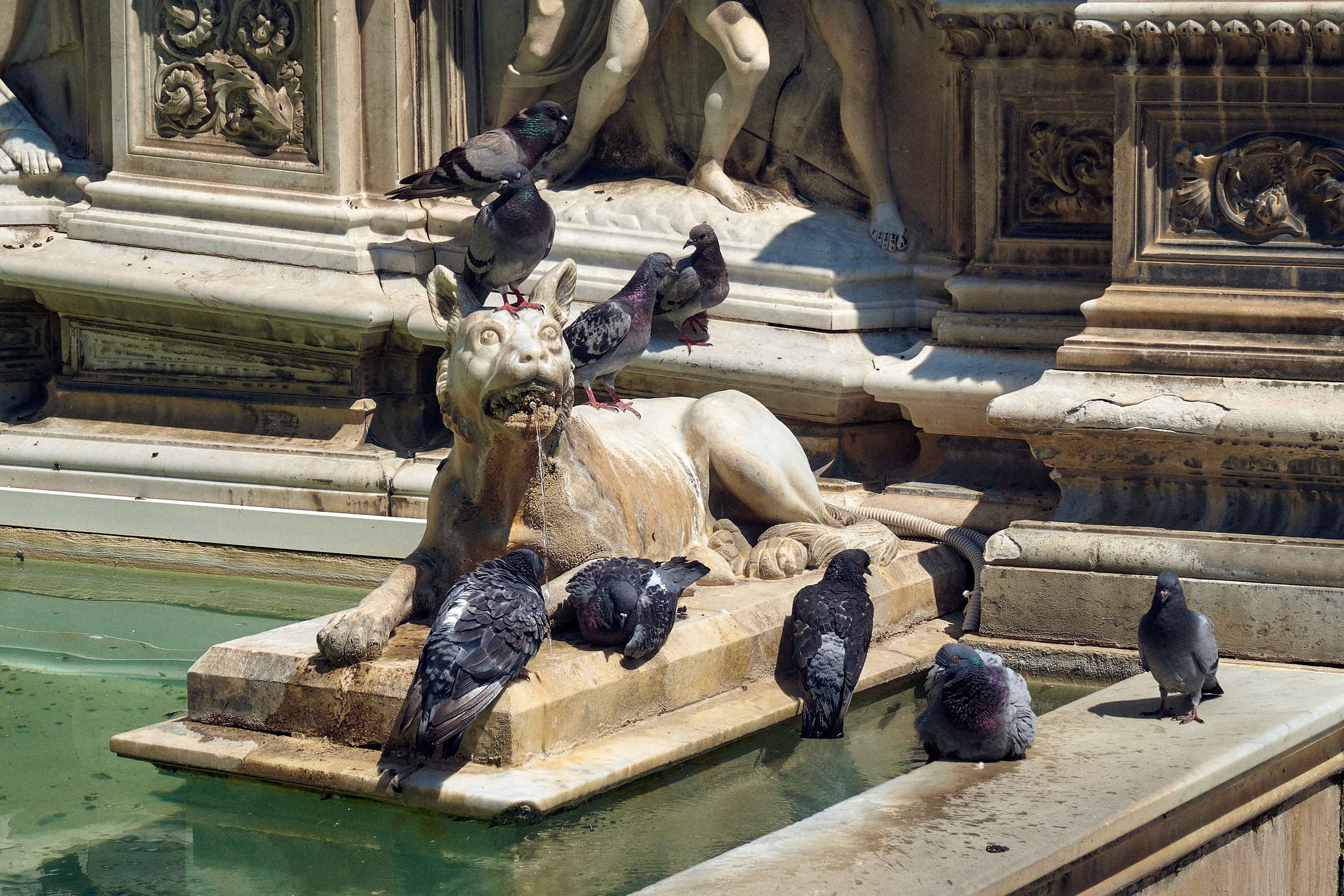 Florence / Siena / Torino / Savona 2023. Aleksandr Kobtsev