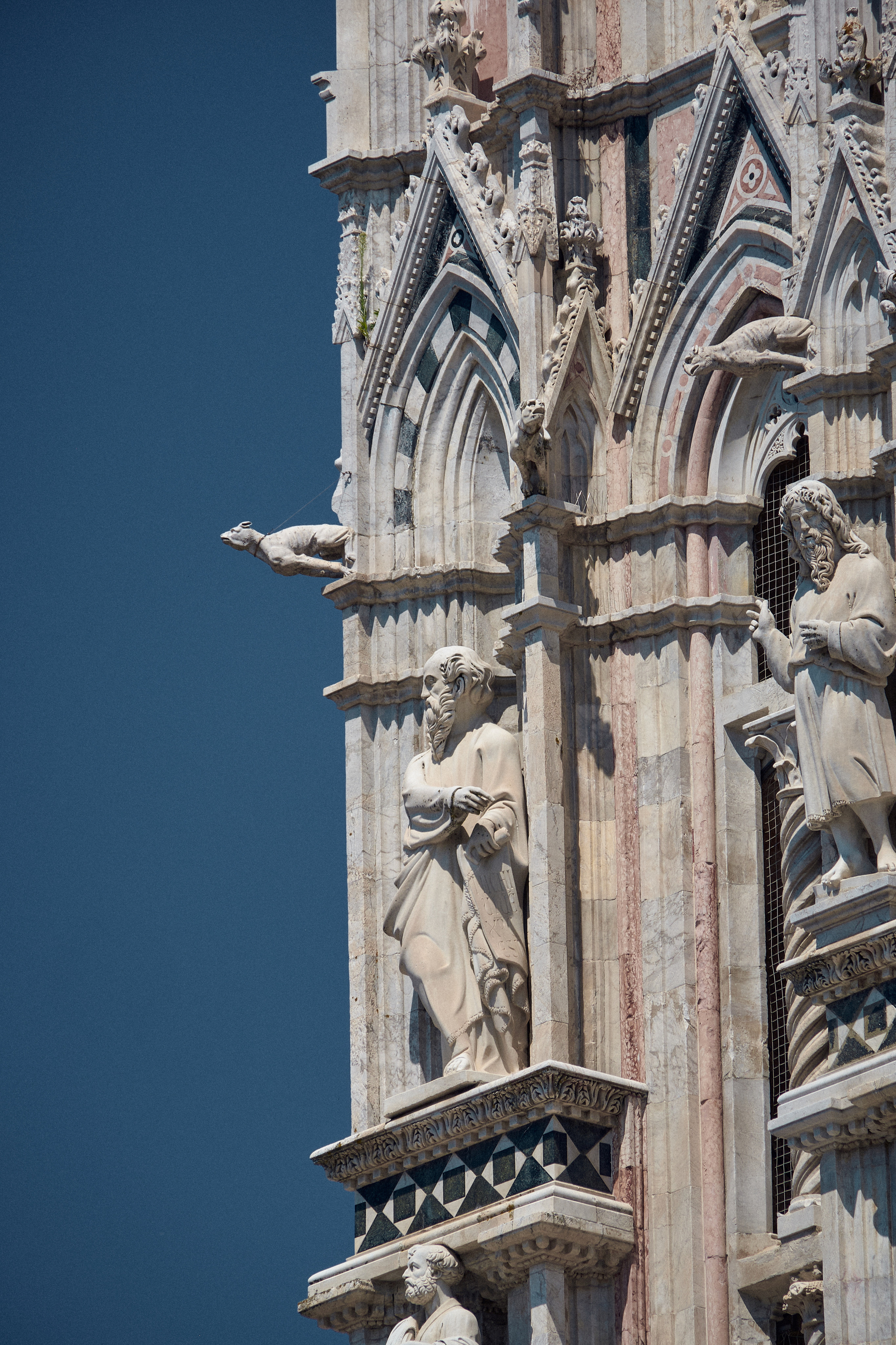 Florence / Siena / Torino / Savona 2023. Aleksandr Kobtsev