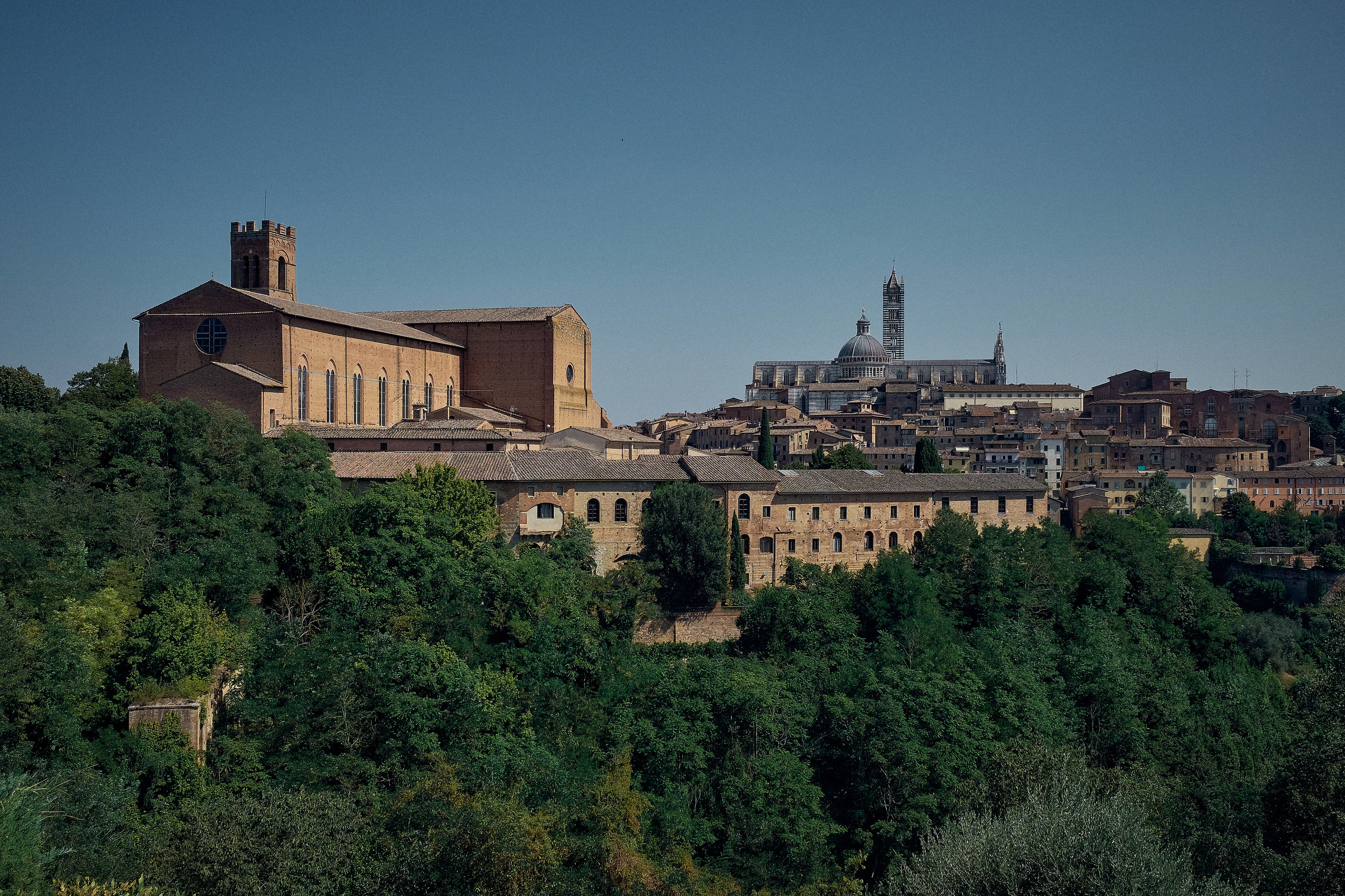 Florence / Siena / Torino / Savona 2023. Aleksandr Kobtsev