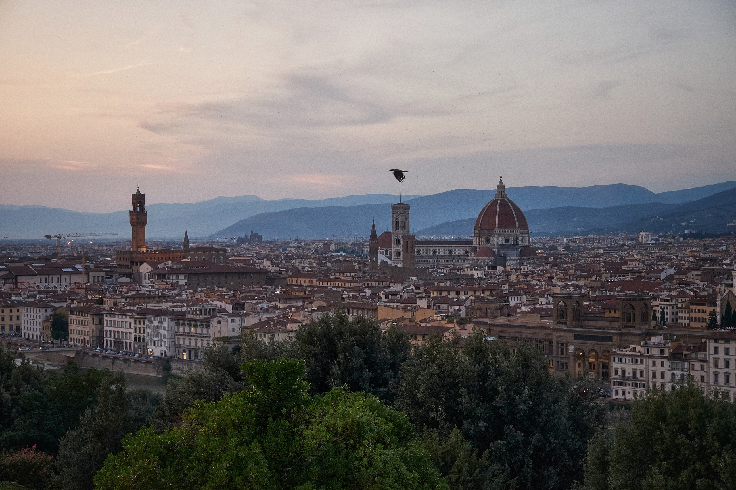 Florence / Siena / Torino / Savona 2023. Aleksandr Kobtsev