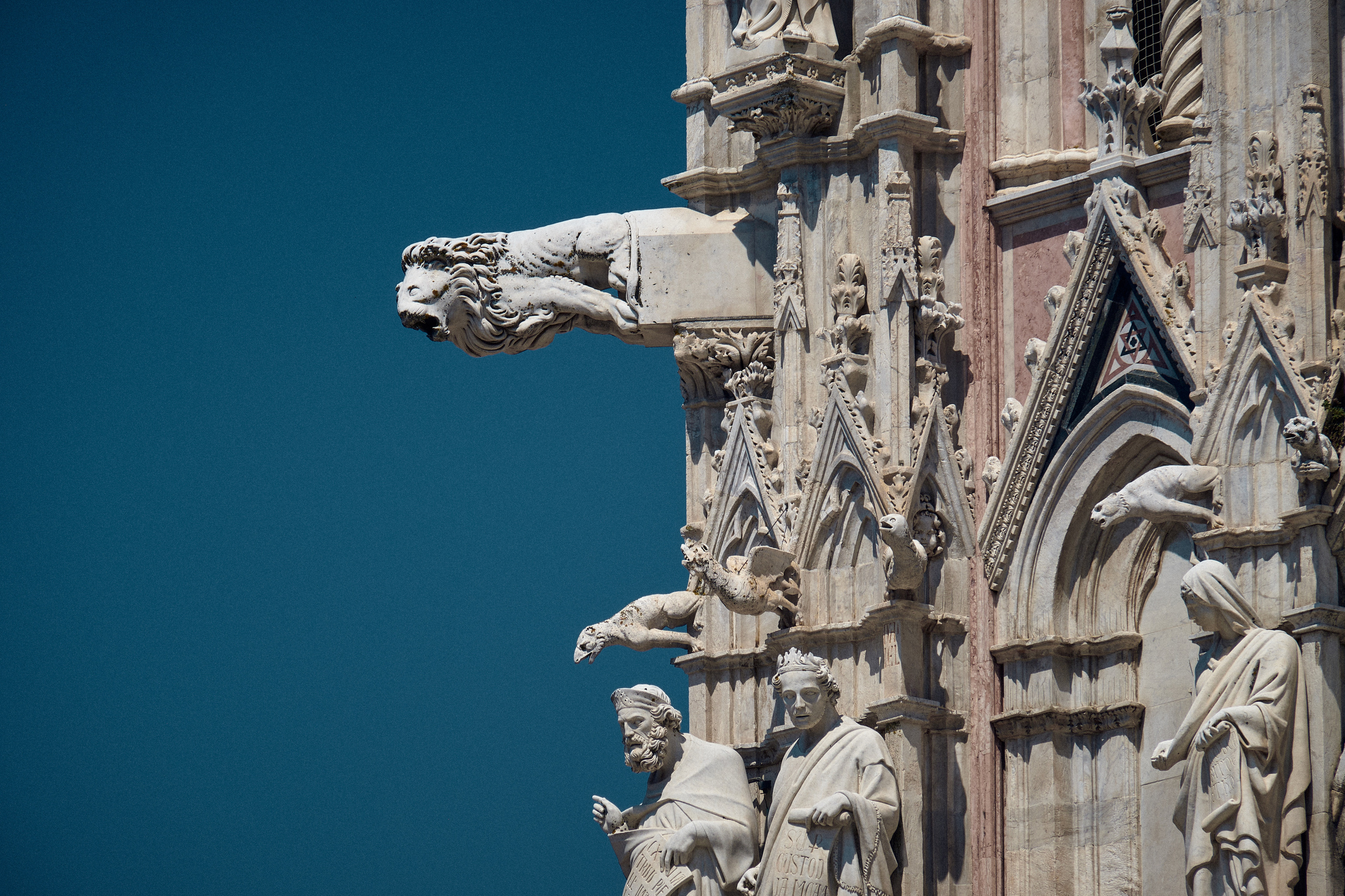 Florence / Siena / Torino / Savona 2023. Aleksandr Kobtsev