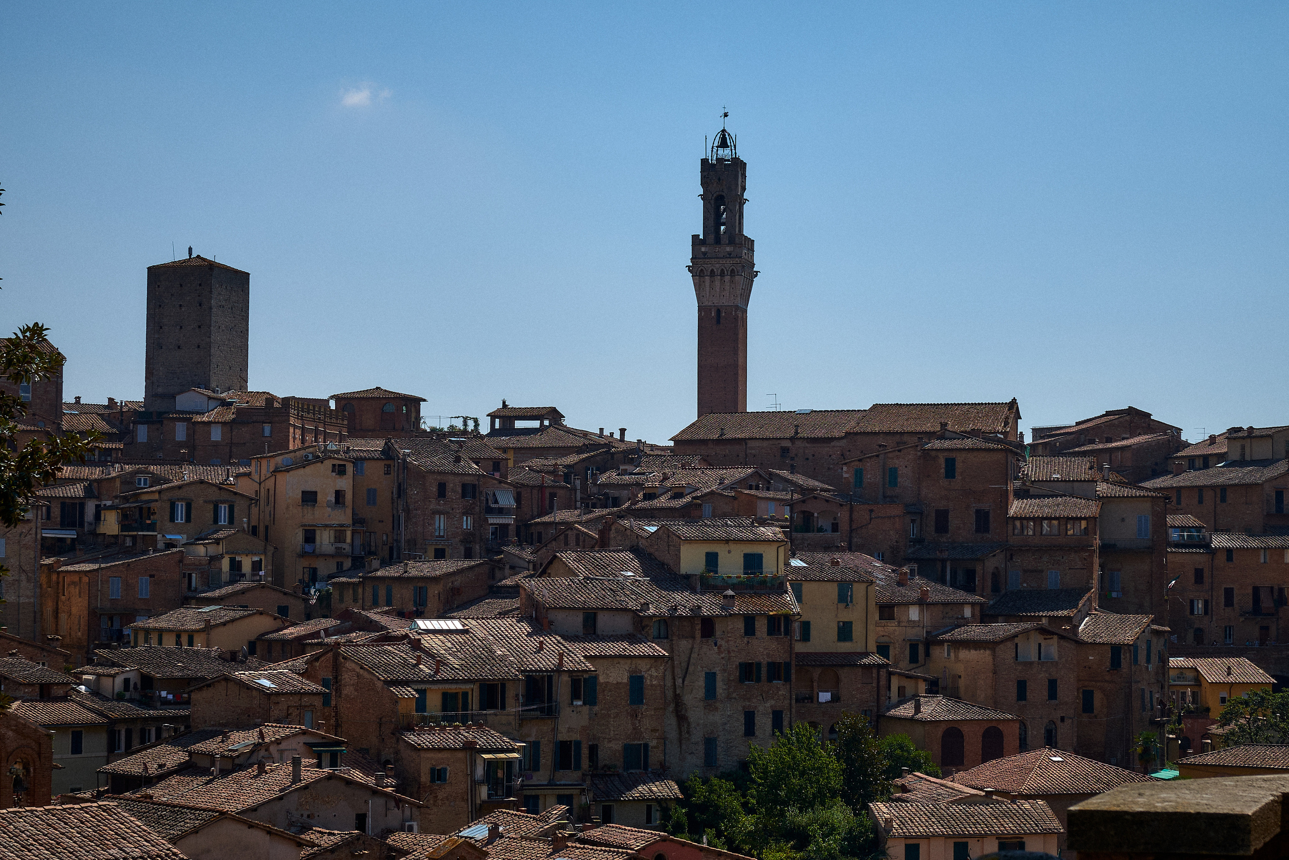 Florence / Siena / Torino / Savona 2023. Aleksandr Kobtsev